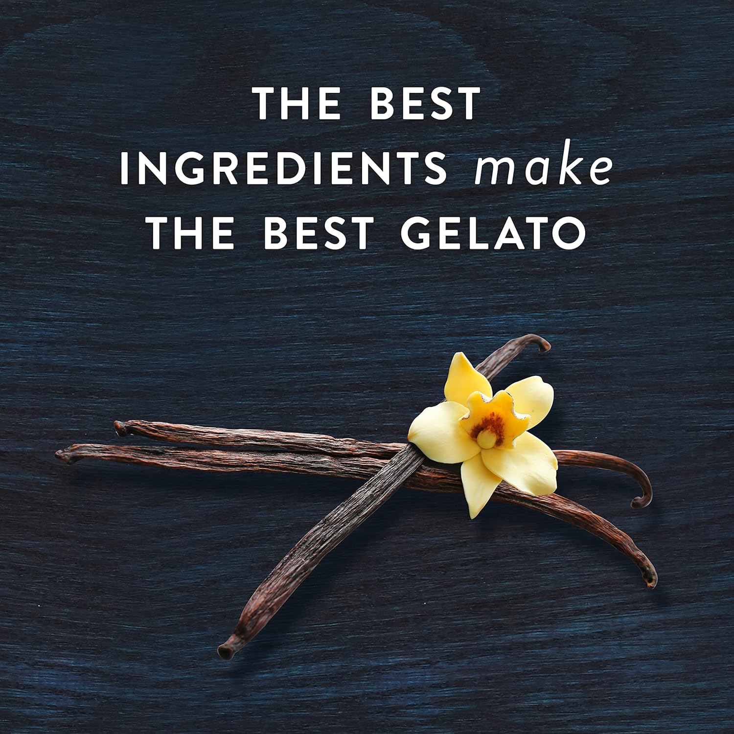 Buy Talenti Gelato For a Delicious Frozen Dessert Madagascan Vanilla
