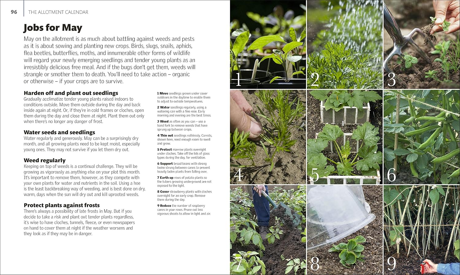 Allotment Month By Month