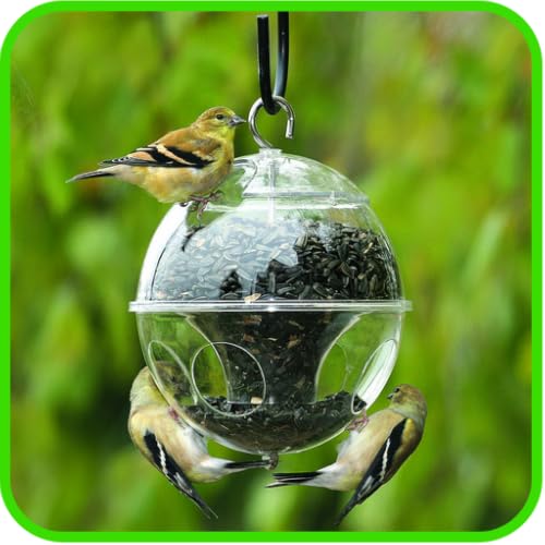 DIY Bird Feeders