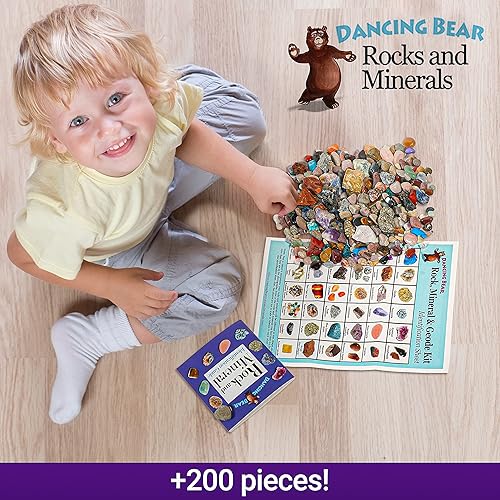 Miniatura 3 de DANCING BEAR Paquete de fósiles de geología - 2 kits STEM kit de actividad de rocas, minerales y geodas y fósiles de dientes de tiburón de 1 libra