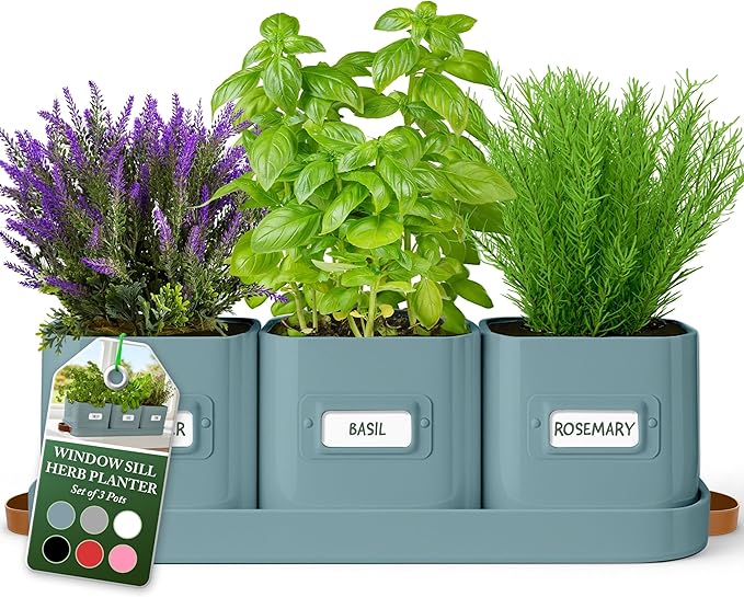 volila Herb Planter Indoor - Set of 3 Teal Blue