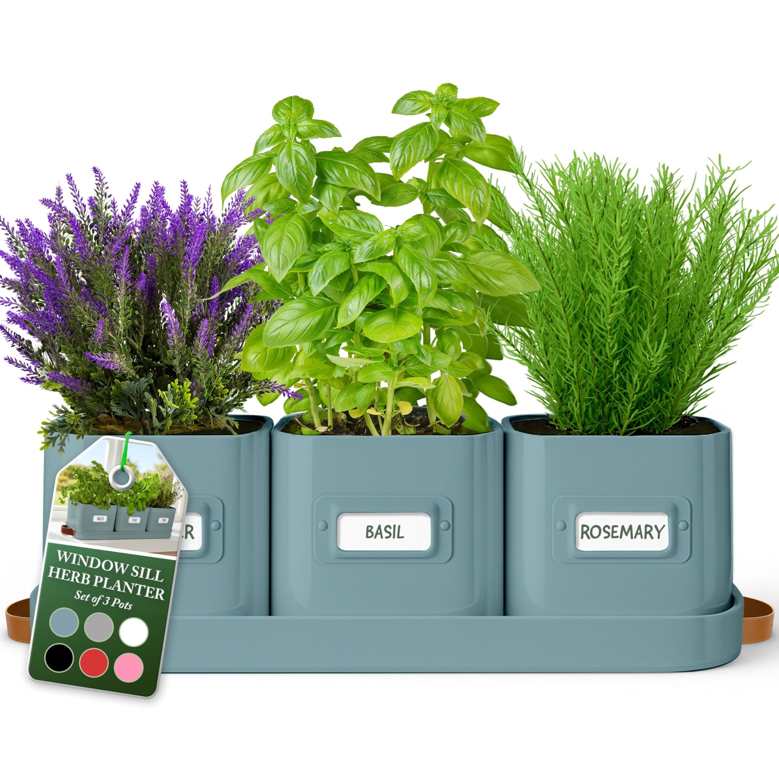 volila Teal Blue Herb Planter Set