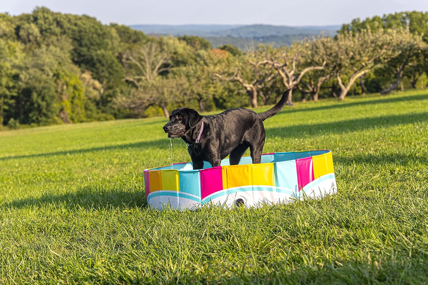 Foldable Dog Pool Collapsible Hard Plastic Pet Swimming Pool Portable Dog Bath Tub Kiddie for Small Medium Dogs Cats Kids 47" Rainbow
