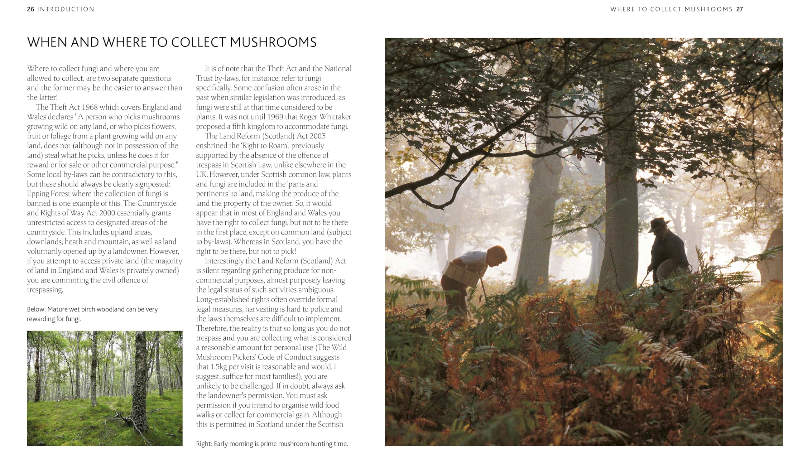 The Mushroom Guide & Identifer: An Expert Manual for Identifying, Picking and Using Edible Wild Mushrooms Found in Britain