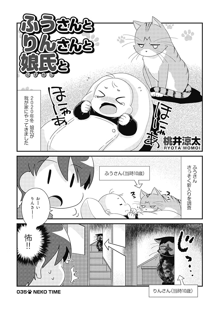 ねむねこページ ねむねこ (@nemuneko3_3) / X