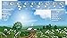 YoWindow Weather Unlimited