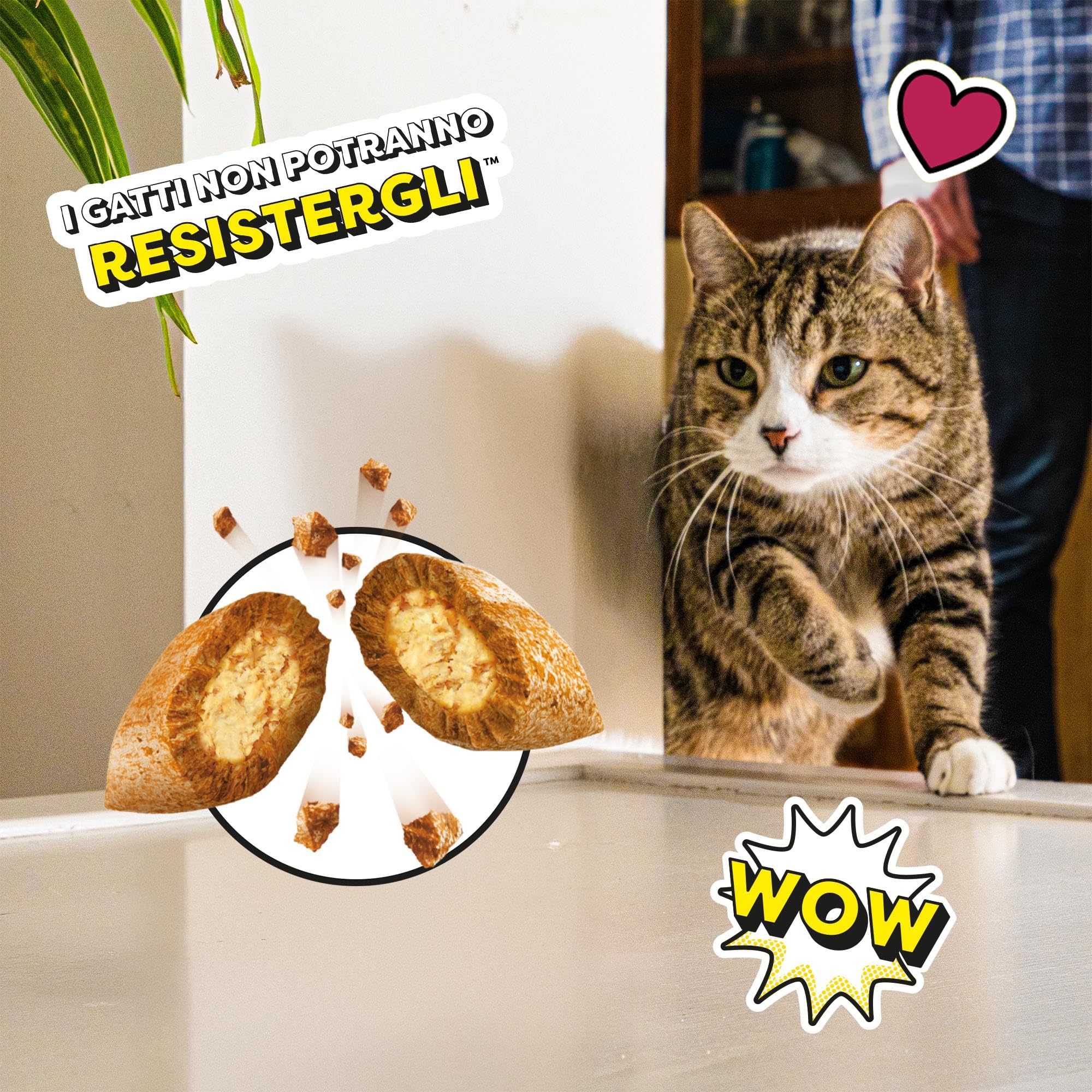 Catisfactions Snack per Gatto, Confezione mista Pollo Formaggio Salmone, 12 x 60 g