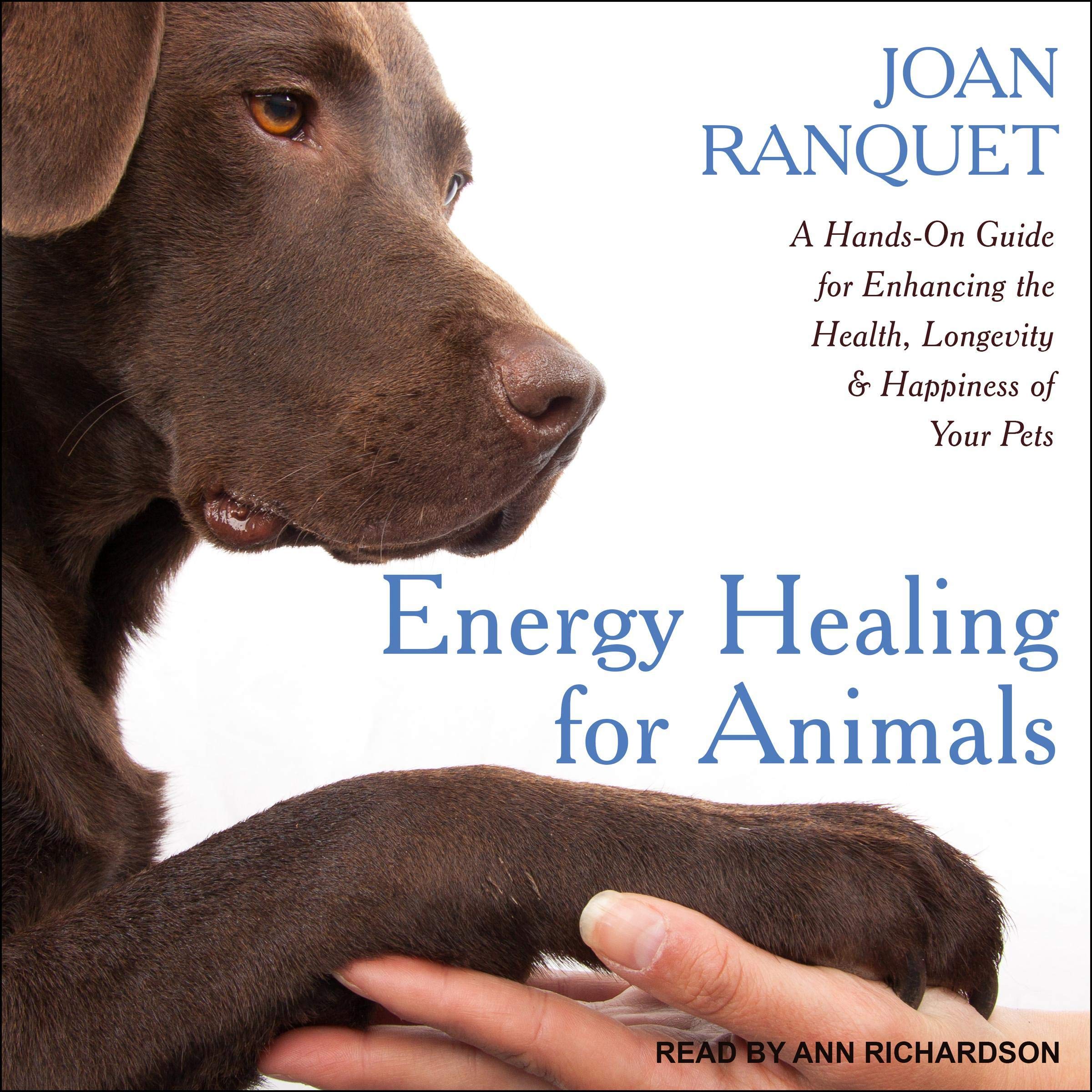 Cover art for Energy Healing for Animals