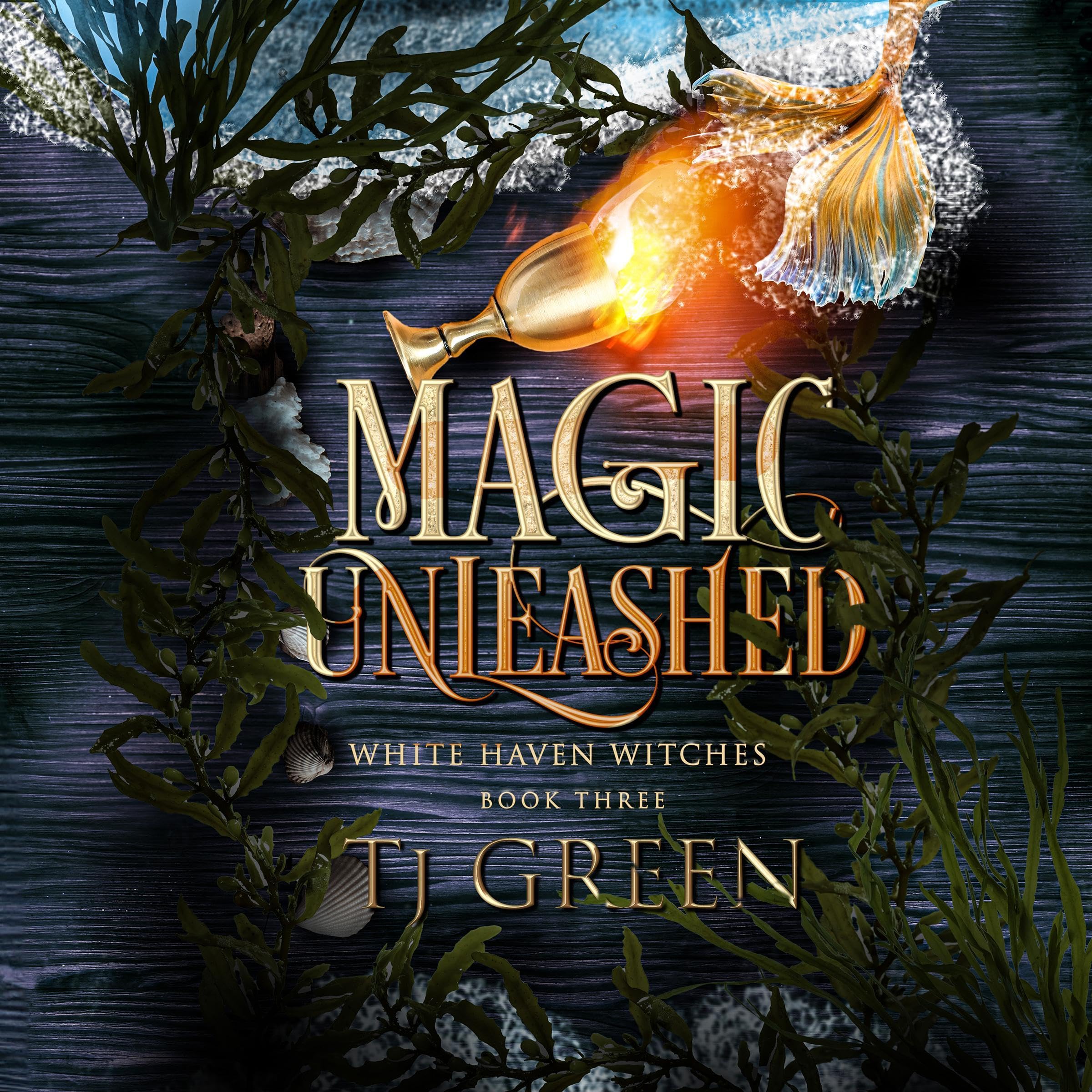 Cover art for Magic Unleashed