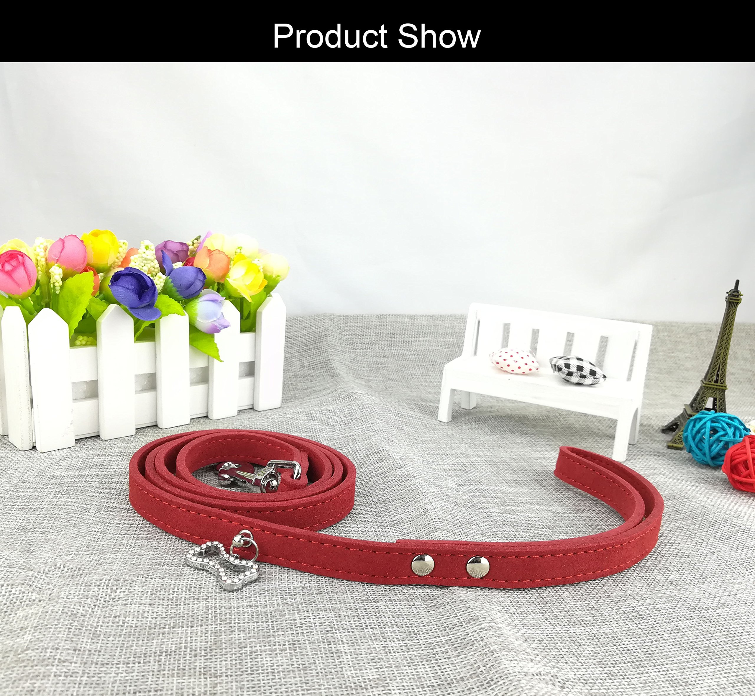 Newtensina Punk-Halsband Mit Leine Für Hunde – Stylisch Mit Nieten