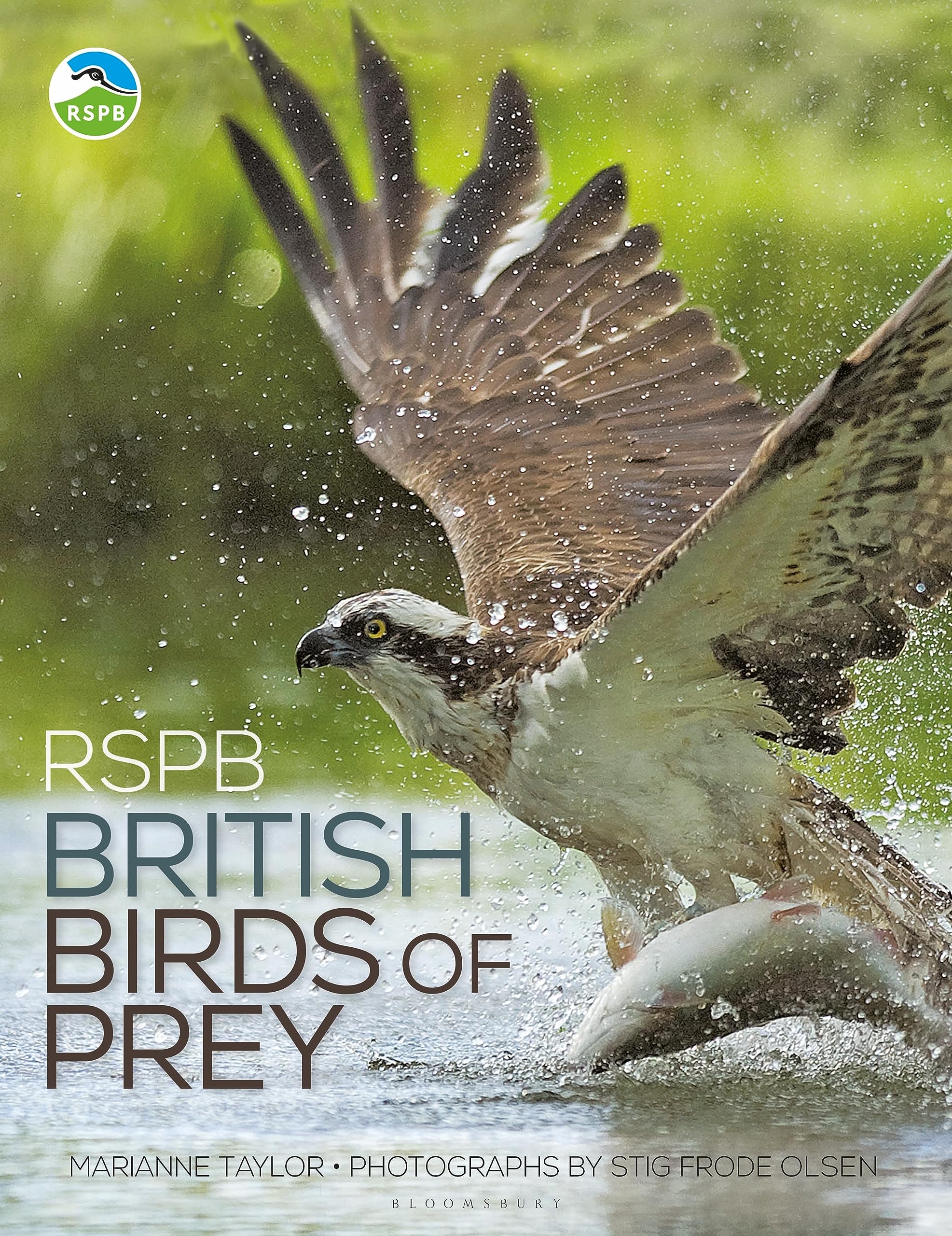 RSPB British Birds of Prey Hardcover – Big Book, 5 October 2018