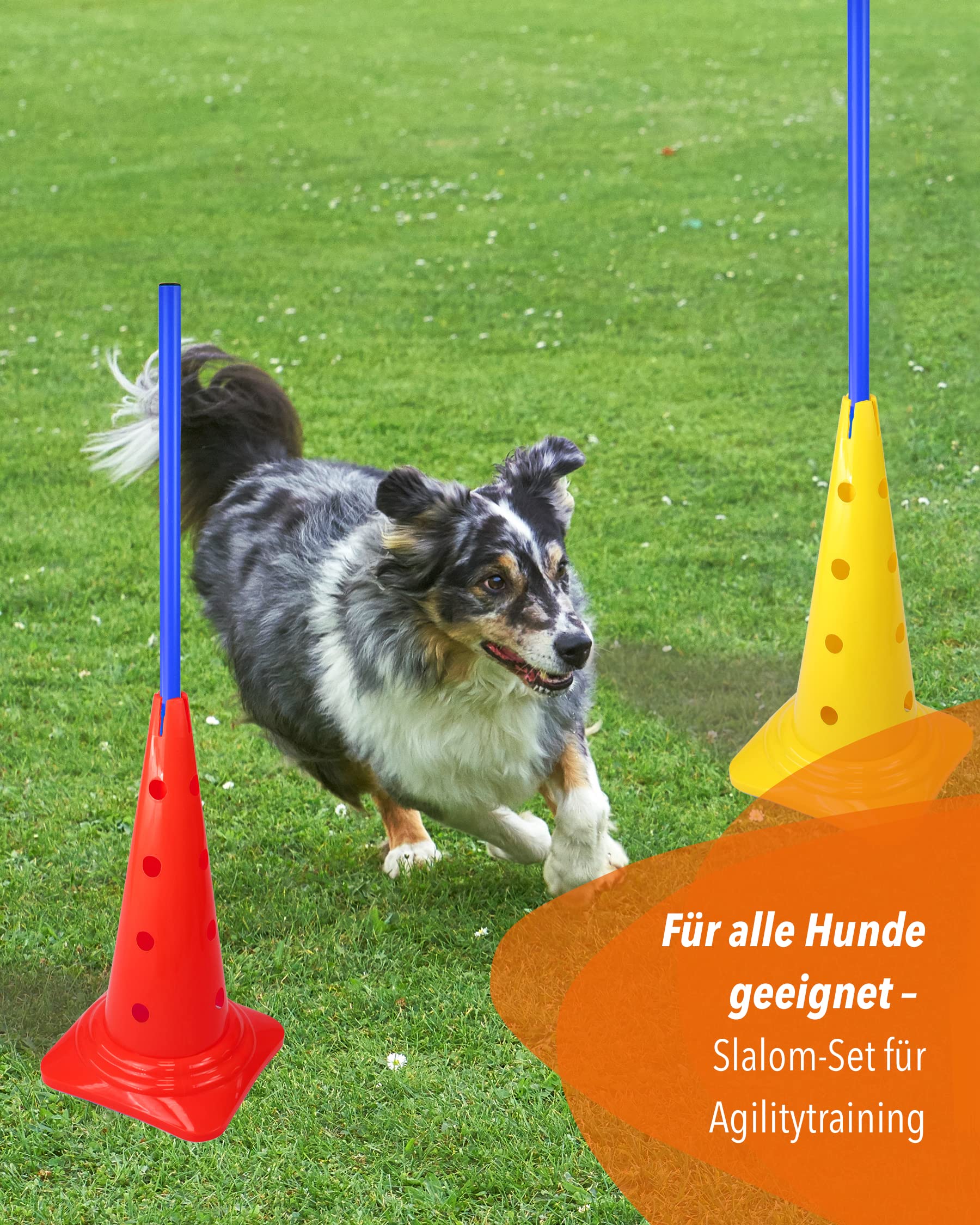 Coni combinati 50 con asta 100 cm – Set di 4 piloni con asta slalom – per slalom parcorse – Agilità e coordinazione – per calcio e sport per cani