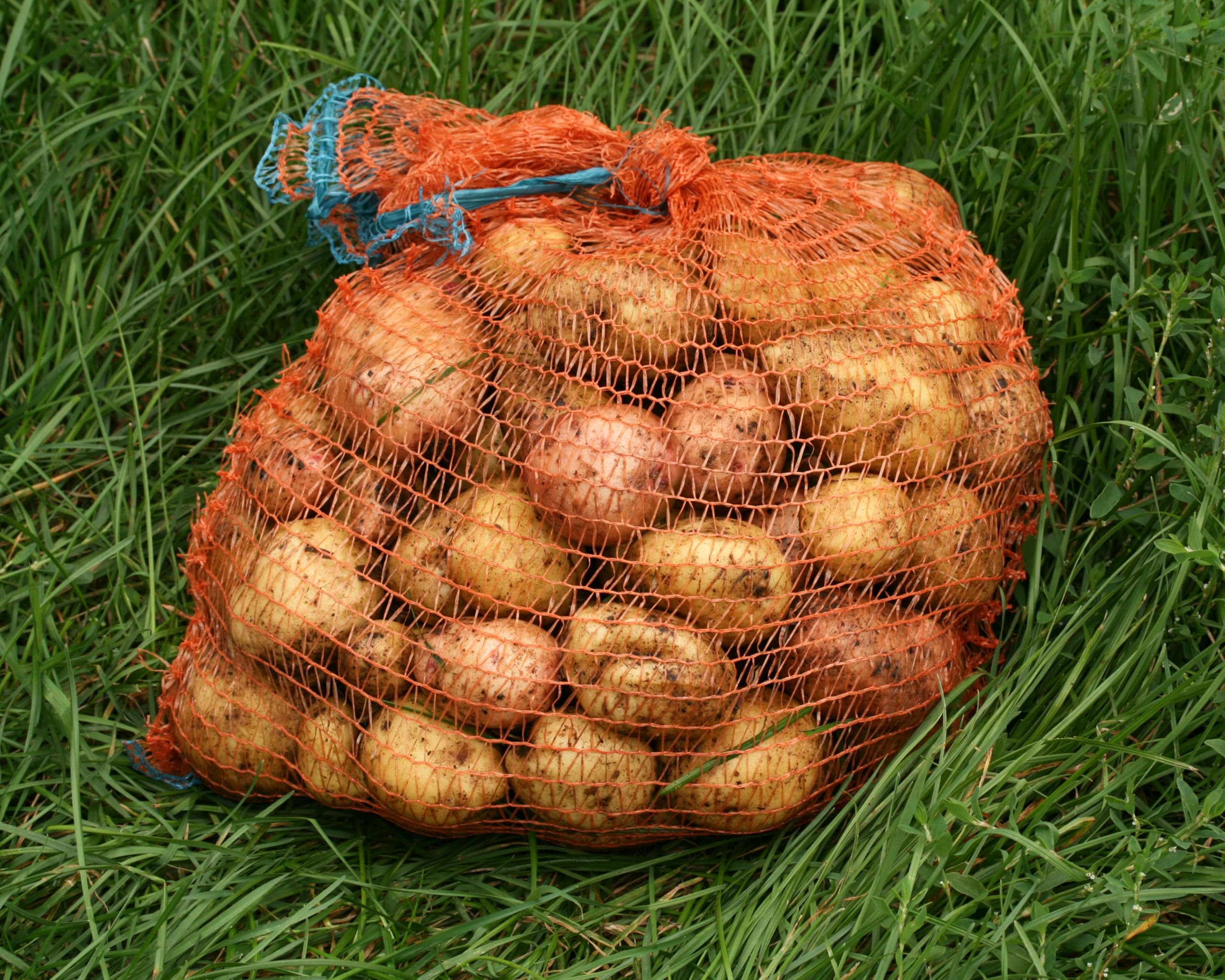 EraGreen 100 Stück Raschelsäcke 60cm x 100cm mit Zugband und 50kg Füllgewicht - Kartoffelsack Gemüsebeutel Zwiebelsack - Netzsack für Kaminholz