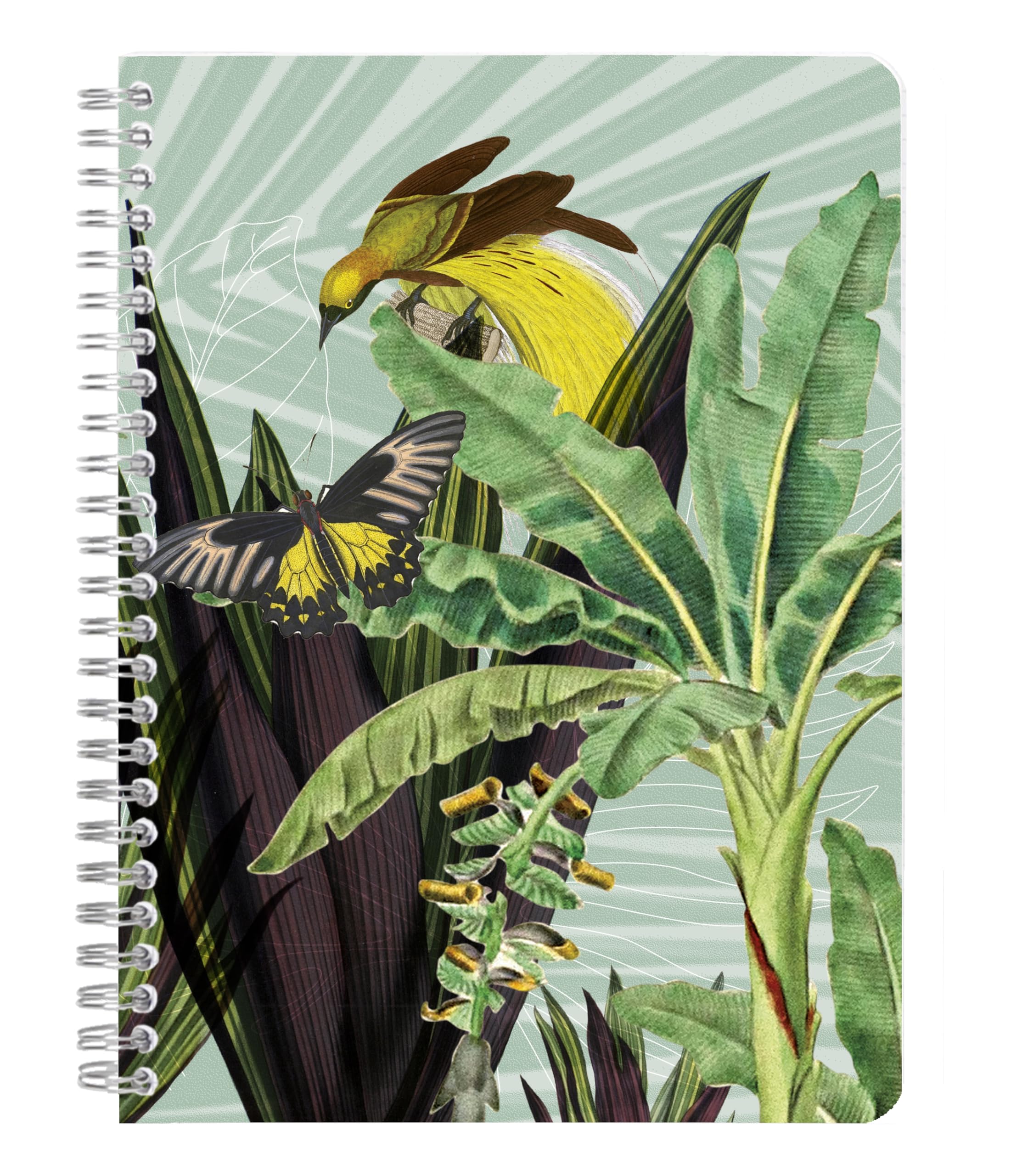 Clairefontaine 115766C - A Spiral Notebook with Plant/Floral/Bird/Butterfly Designs - A5 14.8 x 21 cm 148 Lined Pages 90g white paper - Jungle Harmony Collection - 2 visuals, random delivery — image 1