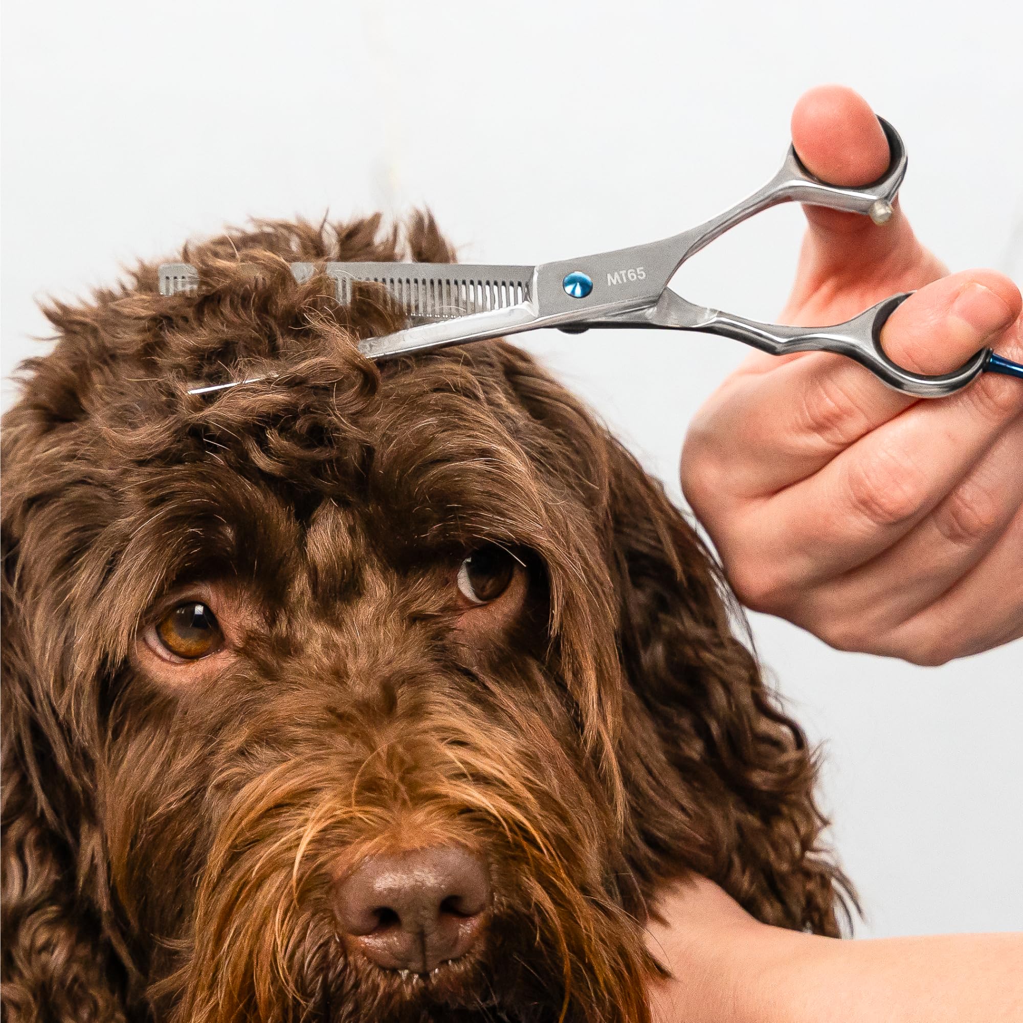 Masterclip Home Dog Grooming Tijeras de corte de tijeras de corte 4 unidades de acabado de adelgazamiento curvado nariz toro