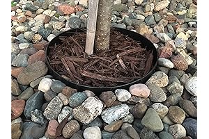 10" Landscape Edging | Decorative Protective Ring for Plants | Keeps Rocks...