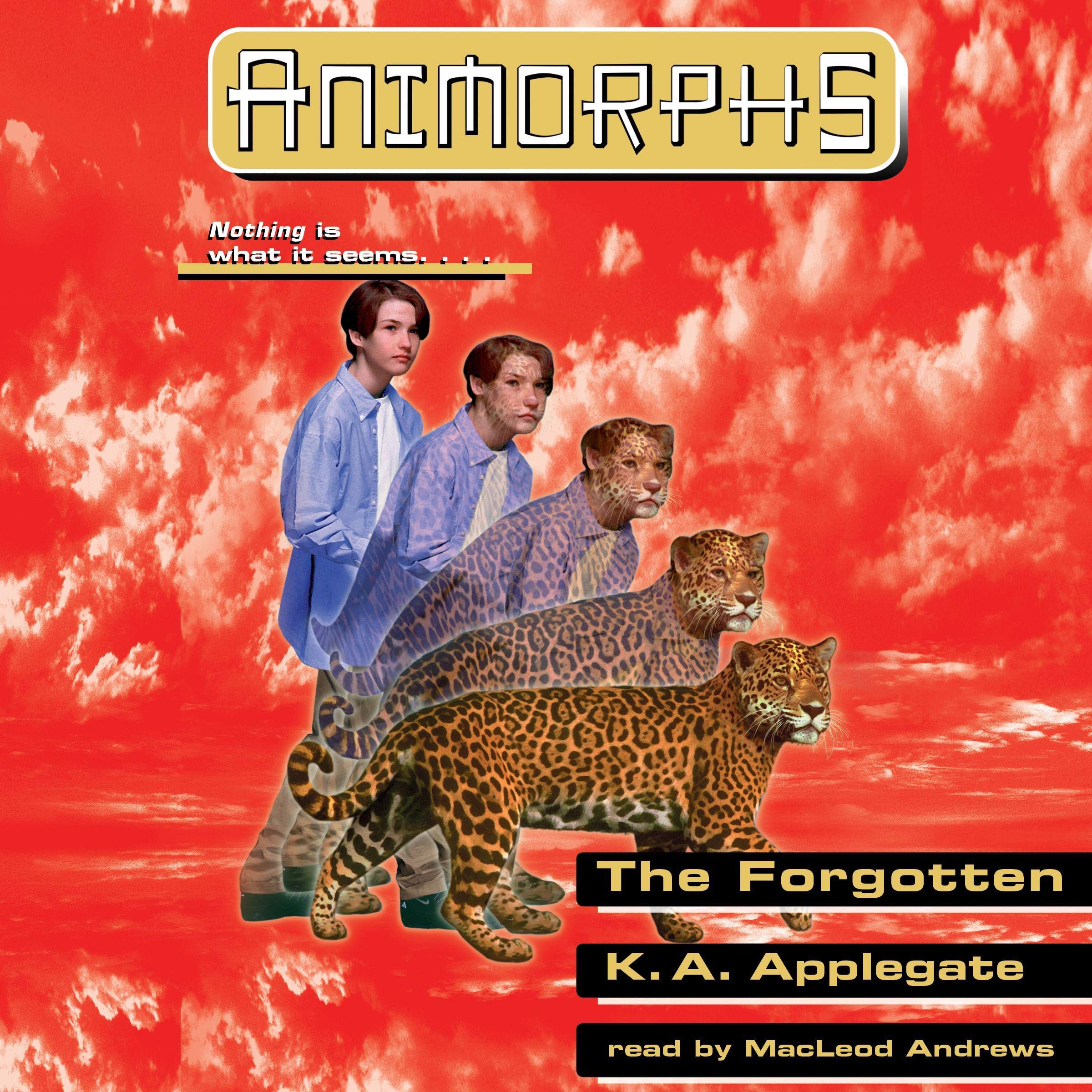 Cover art for The Forgotten