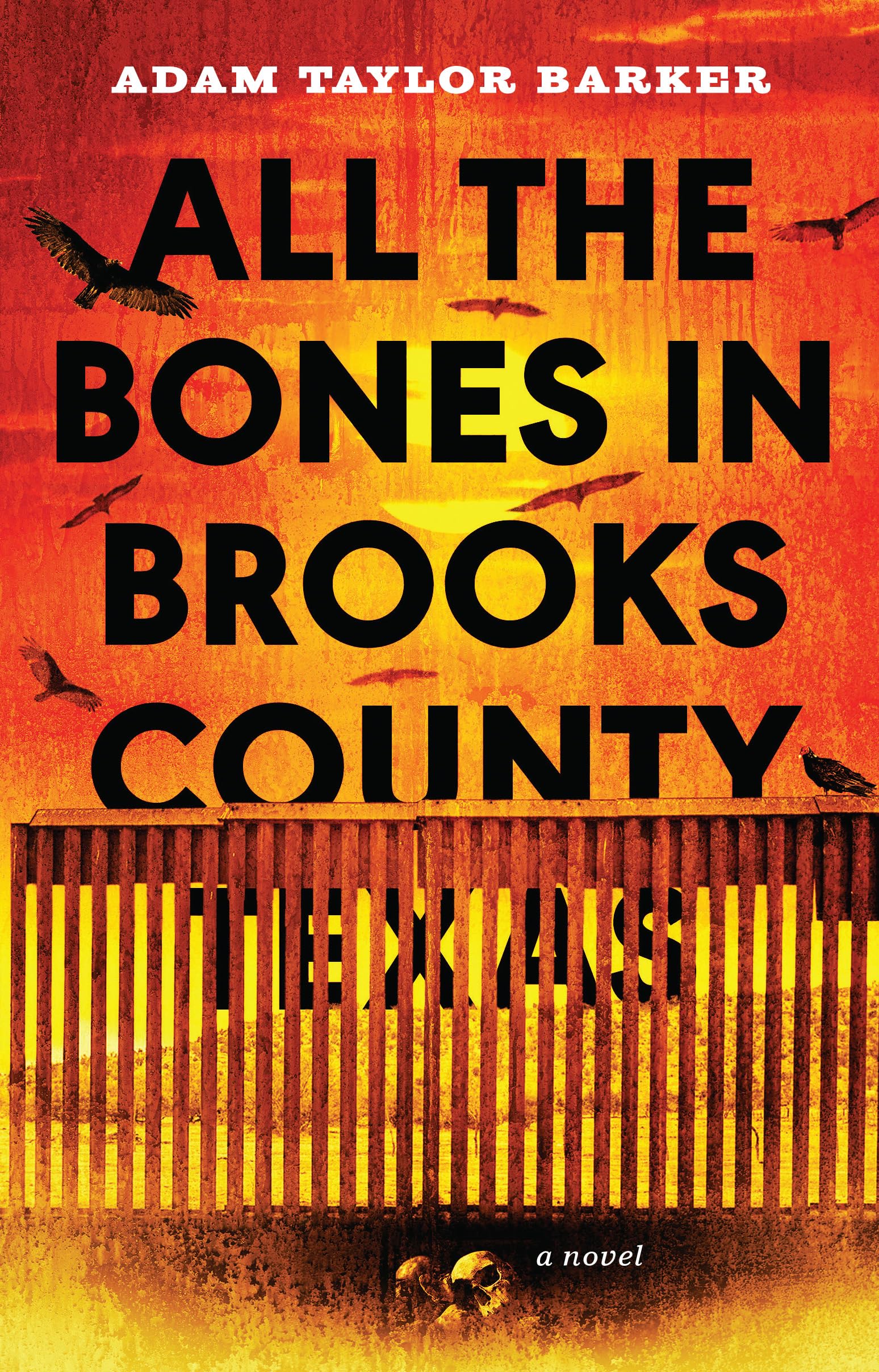 All the Bones in Brooks County, Texas: an unputdownable crime thriller with a shocking twist (A Hondo and Magnolia Mystery Book 1)