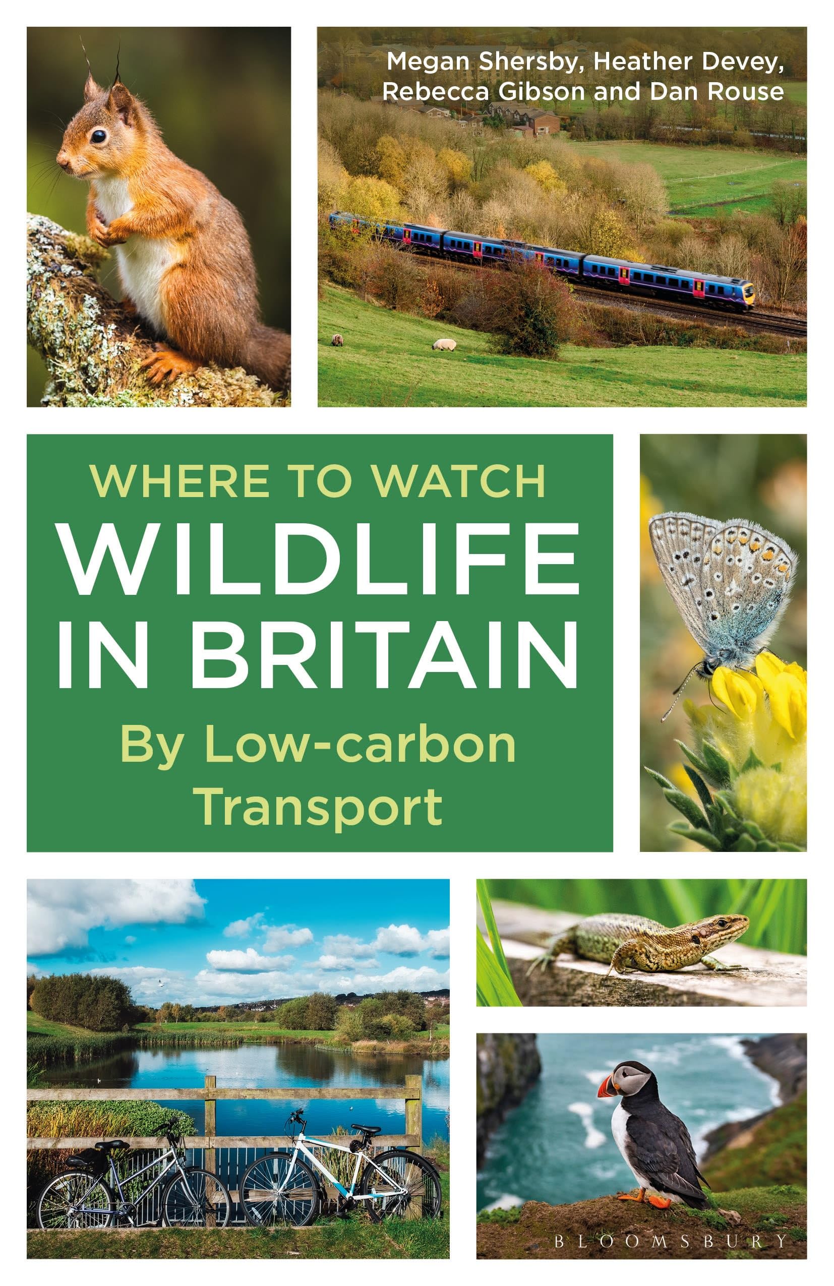 Where to Watch Wildlife in Britain: By Low-carbon Transport
