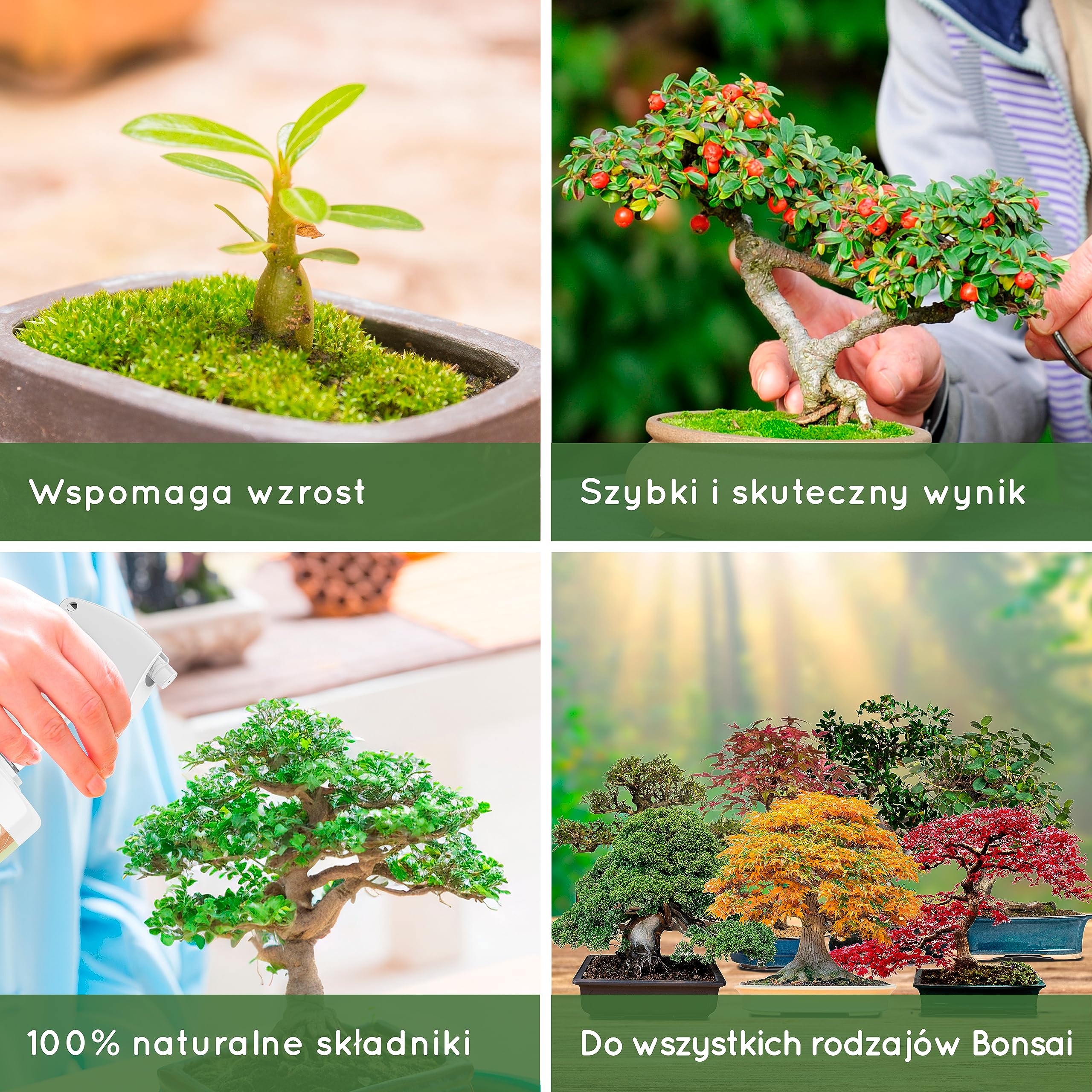 500ml Organiczny Nawóz w Płynie Bonsai - Poprawia Zdrowie Bonsai, Żyzność Gleby i Ogólną Wytrzymałość - 100% Naturalny - Wyprodukowano w UE - Spray Gotowy Do Użycia Na Wszystkie Rodzaje Bonsai.