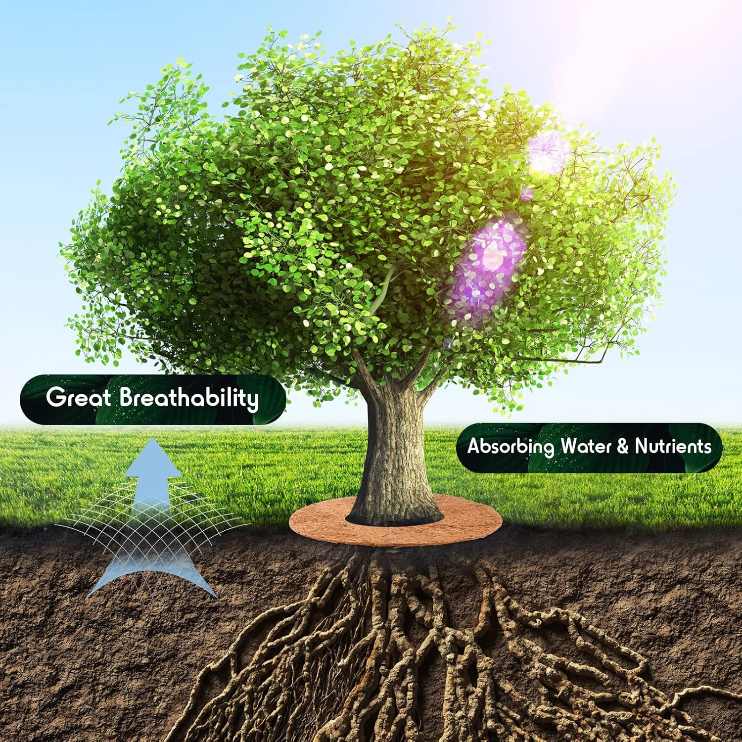 40 Pcs Coconut Fibers Tree Mulch Ring 11.8 Inch Tree Protection Weed Mats Natural Coconut Coir Plant Pot Cover Mulch Ring for Indoor Outdoor Disc Plant Cover Flower Pot Mats