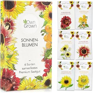 Sonnenblumen Samen Set: Sonnenblumen Saatgut mit 6 Sorten – Blumen Geschenk Set
