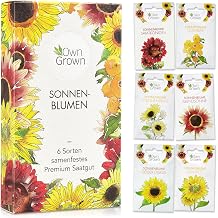 Sunflower Seed Set OwnGrown Premium Sunflower Seeds with 6 Types of Beautiful Summer Flower Seeds - Garden Gift Cultivation Set - Flowers for Bees - Flower Seeds Sunflowers