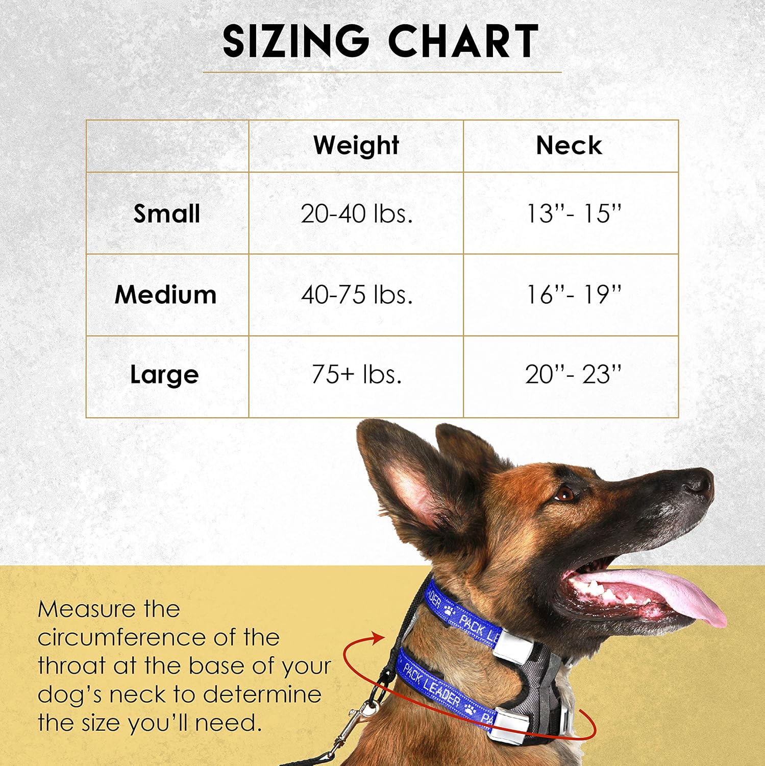 Cesar Millan Blue Dog Collar for Small Dogs, Pack Leader Dog Collar with Harness and Non-Slip Lead, Dog Accessories Designed to Train Dogs Not to Pull