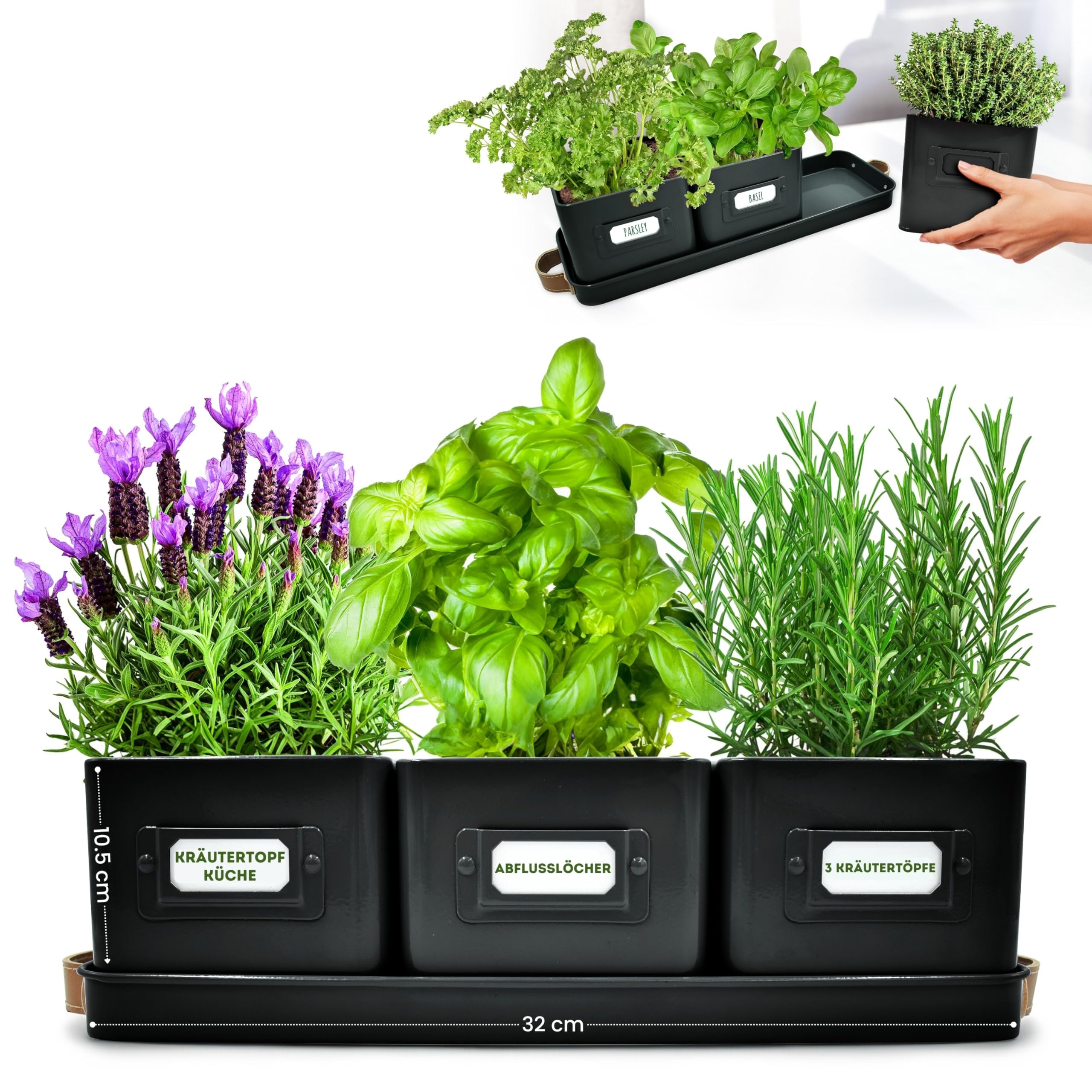 Green Thumbz Herb Pots for Kitchen Windowsill, Set of 3 Black Herb Planter Indoor with Leather Handled Tray
