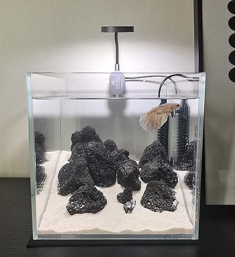 Miniatura 11 de Tanque pequeño sin borde nano alto, tanque de peces de cristal, tanque Betta (0.7 galones, 5.9 x 4.3 x 5.1 pulgadas/5.9x4.3x5.1 in)