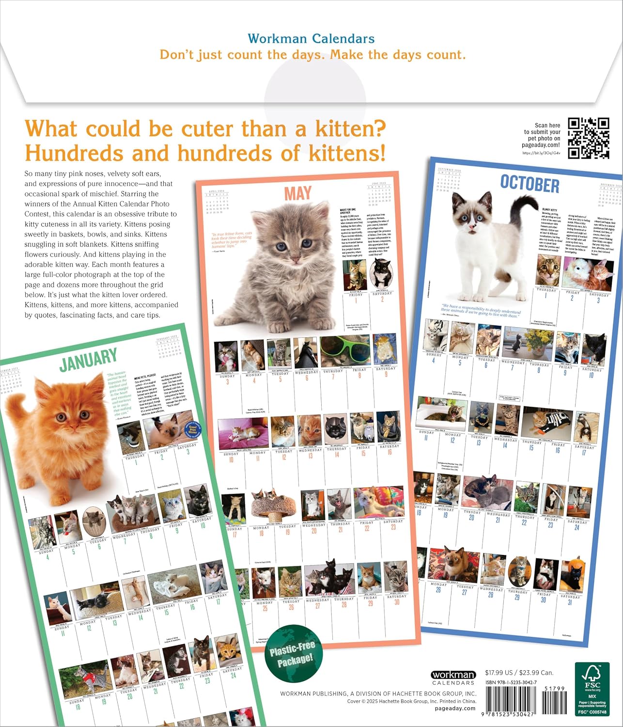 365 Kittens-A-Year Picture-A-Day® Wall Calendar 2026: The World's Favorite Kitten Calendar