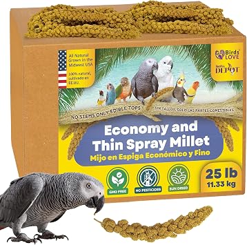 25lbs Economy & Special Spray Millet for Birds GMO-Free, No Stems Only Edible Tops 100% Natural Sun-Dried Foraging Treat for Cockatiels, Lovebirds, Parakeets, Finches & Canaries