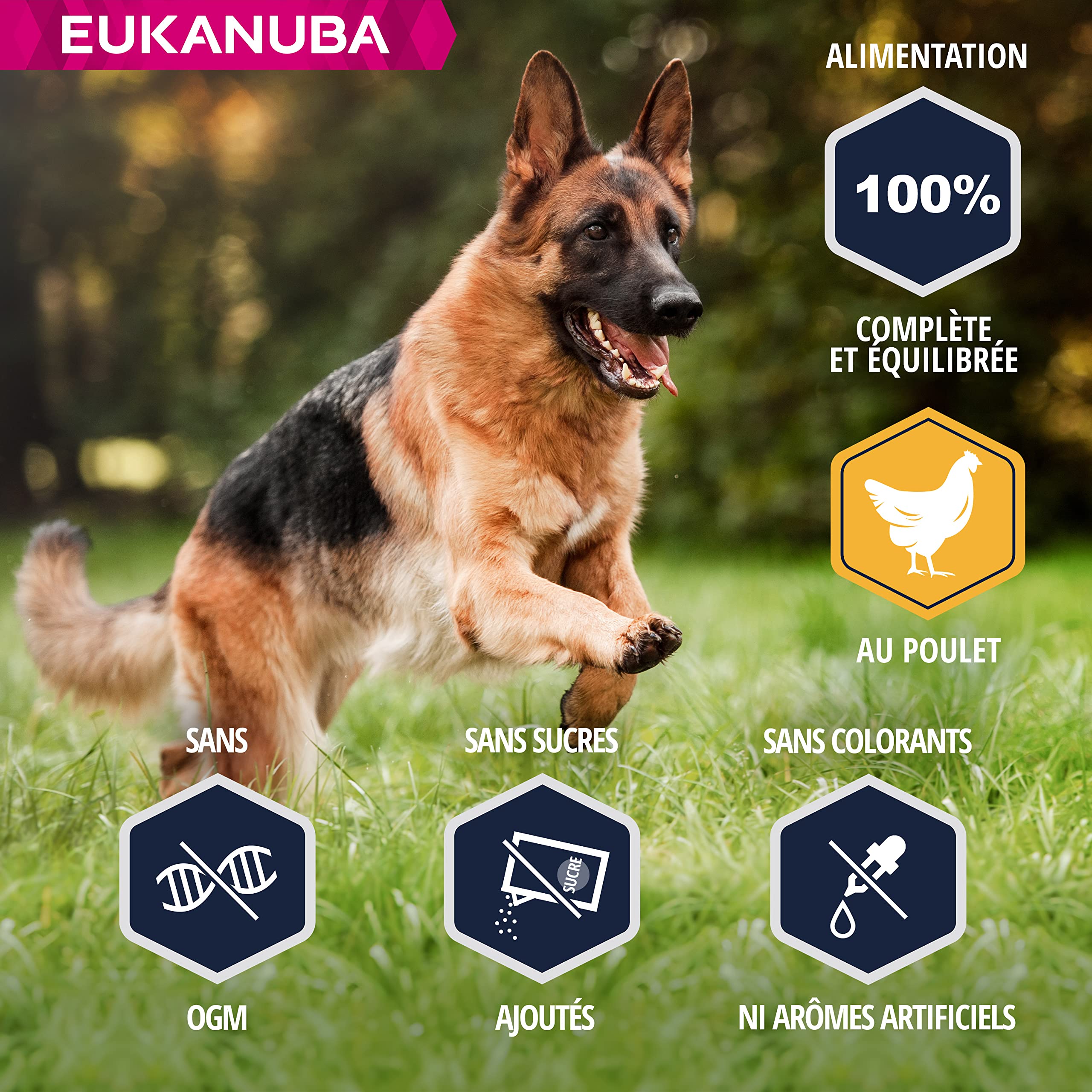Eukanuba Chien Nourriture sèche Berger Allemand Poulet 12kg