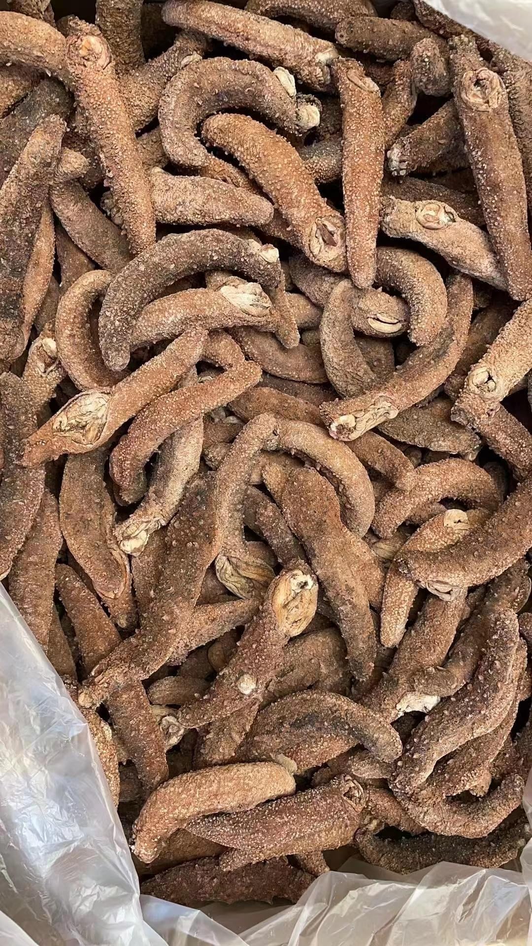 Xi Ge Ge Natural Sun Dried Alaska Sea Cucumbers (Medium Size)1lb, Grade AAAA 禧格格阿拉斯加红参 20-30头