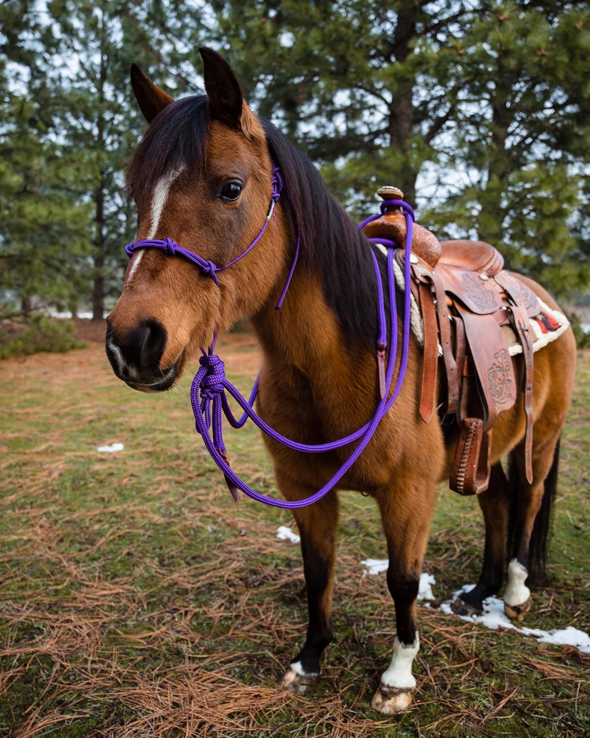 新品未開栓】とうきび焼酎 雲海 720ml 25度 昭和52年12月13日製造 雲海酒造