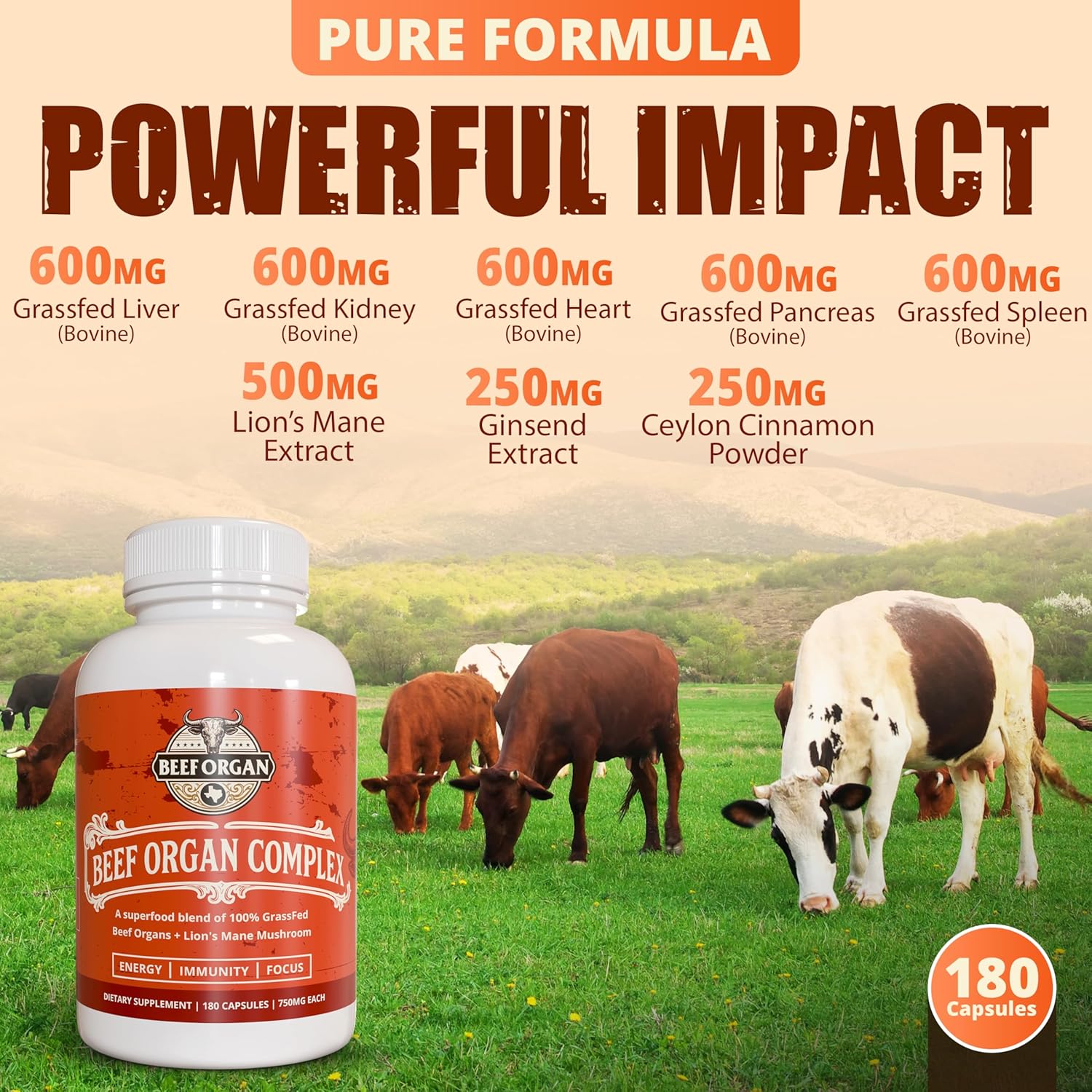 Grass Fed Beef Organ Supplement - Supports Immunity & Vitality - Beef Organ Complex for Men & Women - Superfood Blend with Lions Mane & Cinnamon - Pasture Raised - 180 Capsules - Image 4