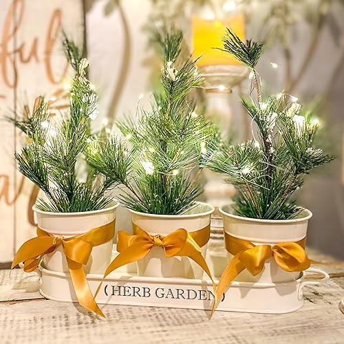 Miniatura 6 de PERFNIQUE Jardín de hierbas para interior, maceta de hierbas para interiorexterior, macetas de granja, alféizar de la ventana jardín de hierbas con