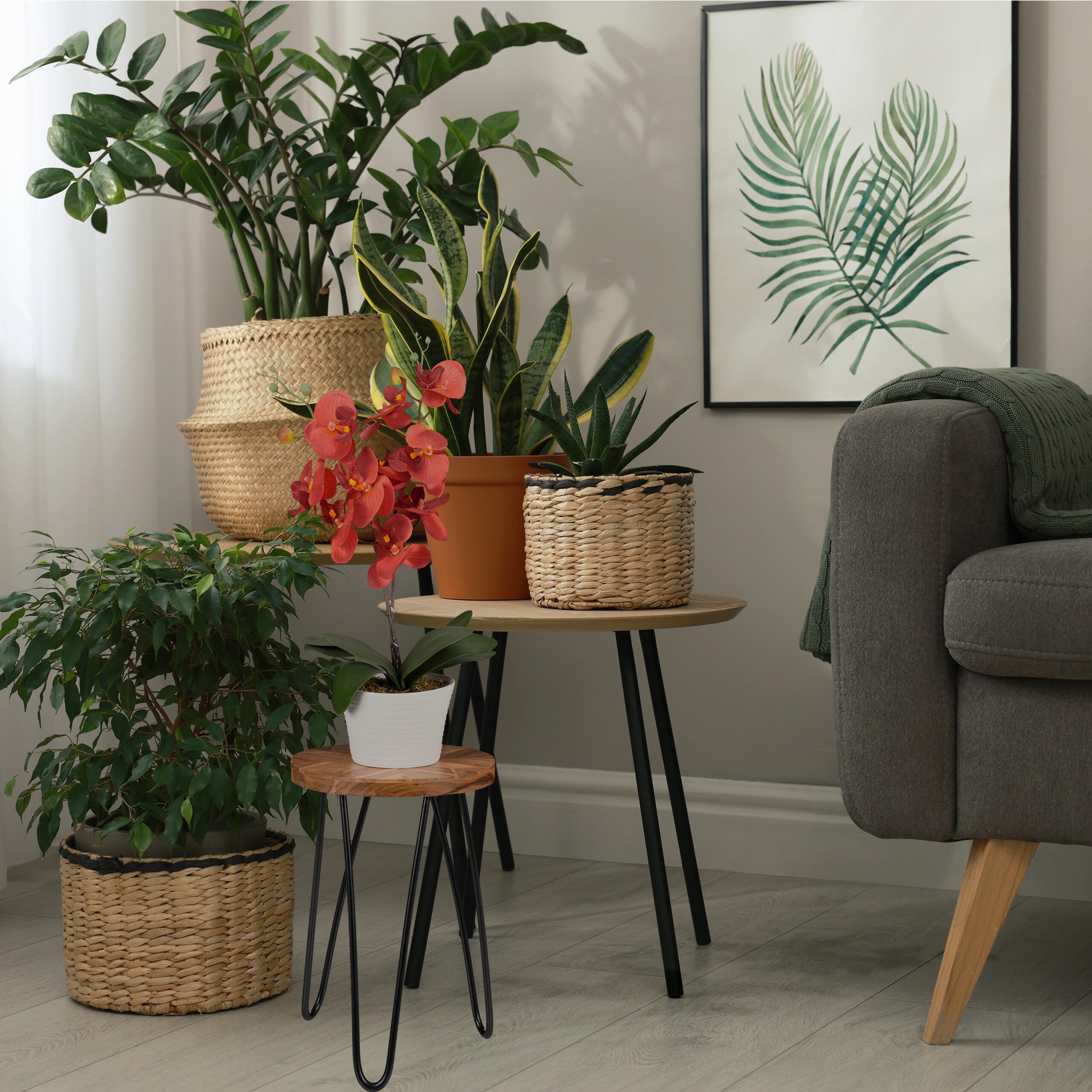 Relaxdays Taburete para Plantas, Madera de Acacia, Redondo, para Macetas, Soporte Flores Retro 42x25 cm, Marrón/Negro