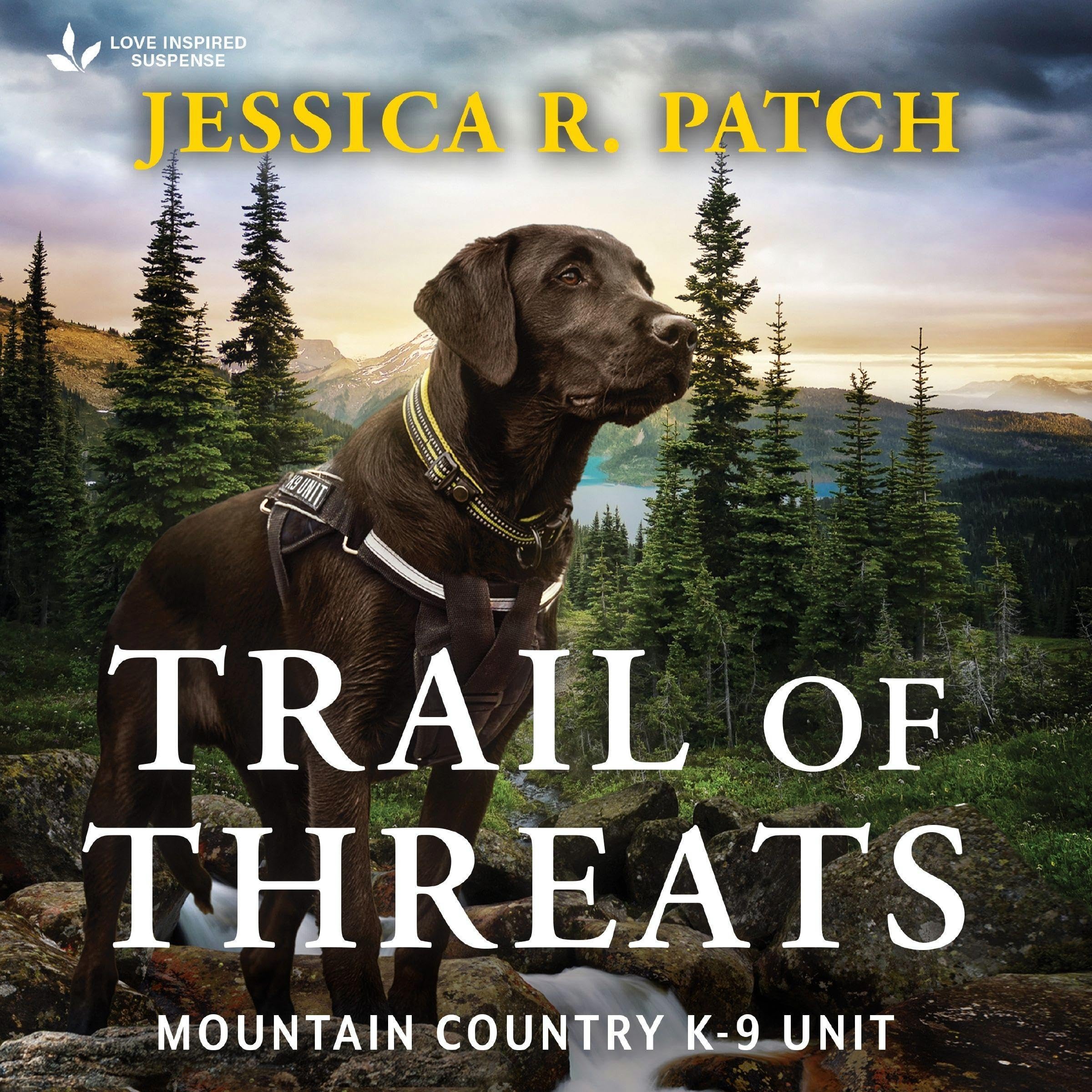 Cover art for Trail Of Threats