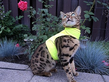 Cat coat harness Clearance