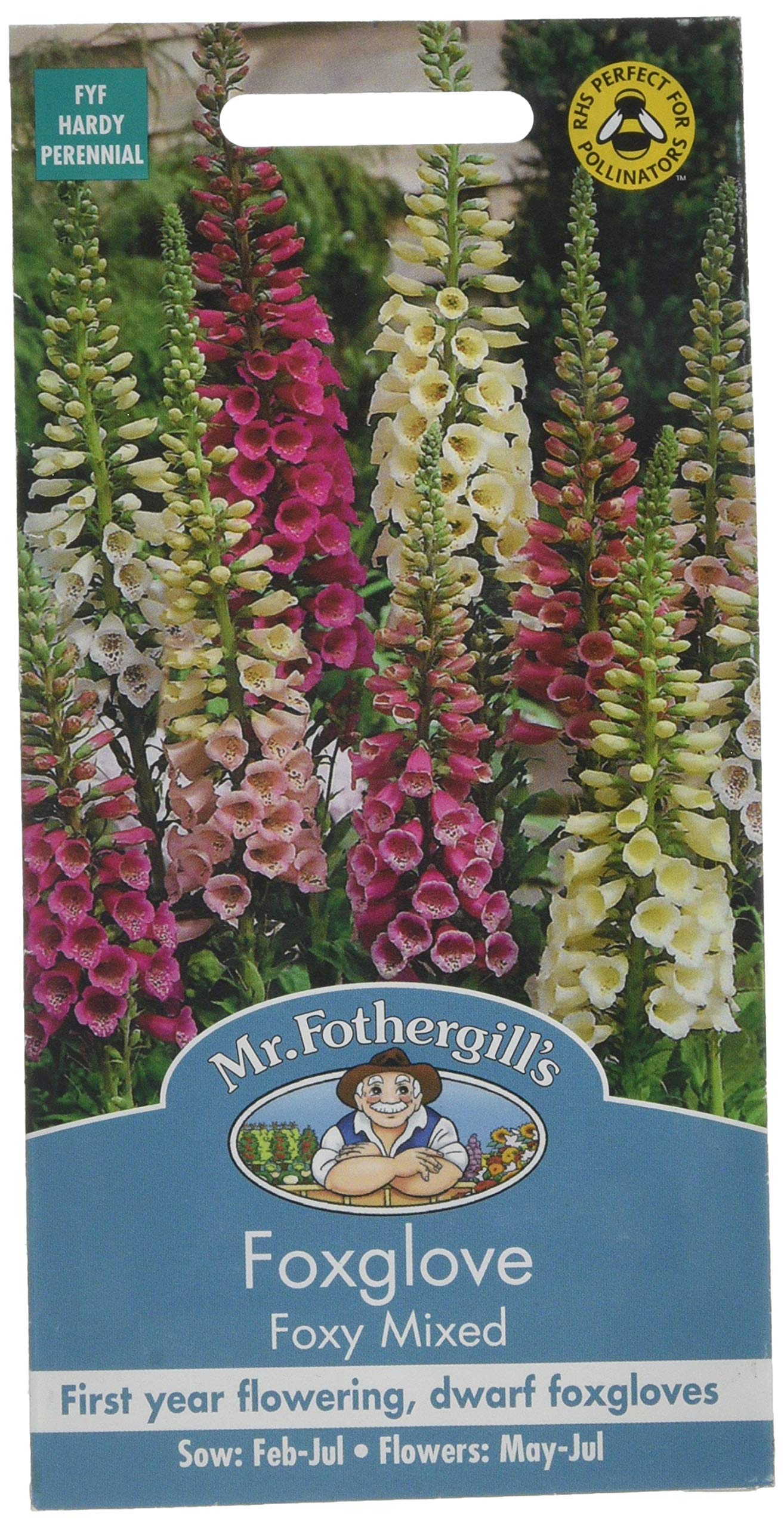 Mr. Fothergill's Foxglove Foxy Mixed Flower Seeds