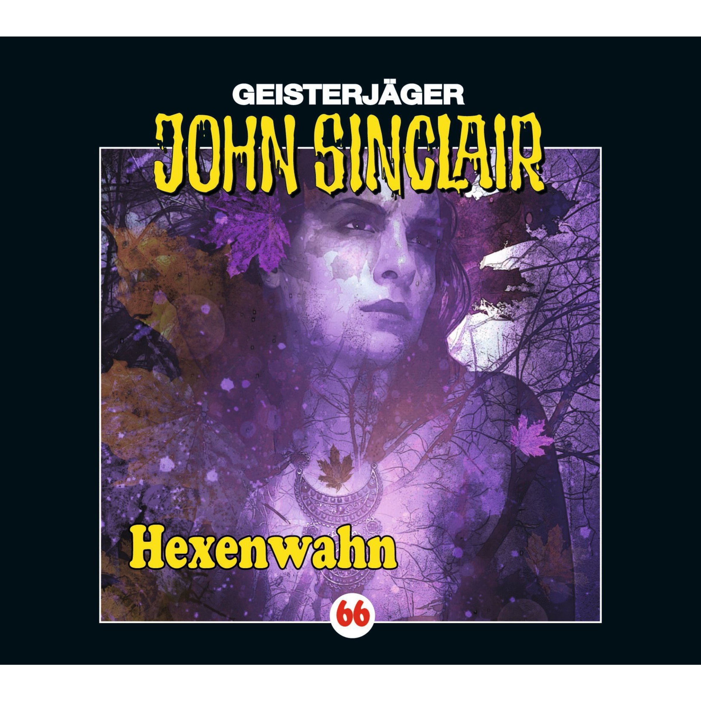 Cover art for Hexenwahn