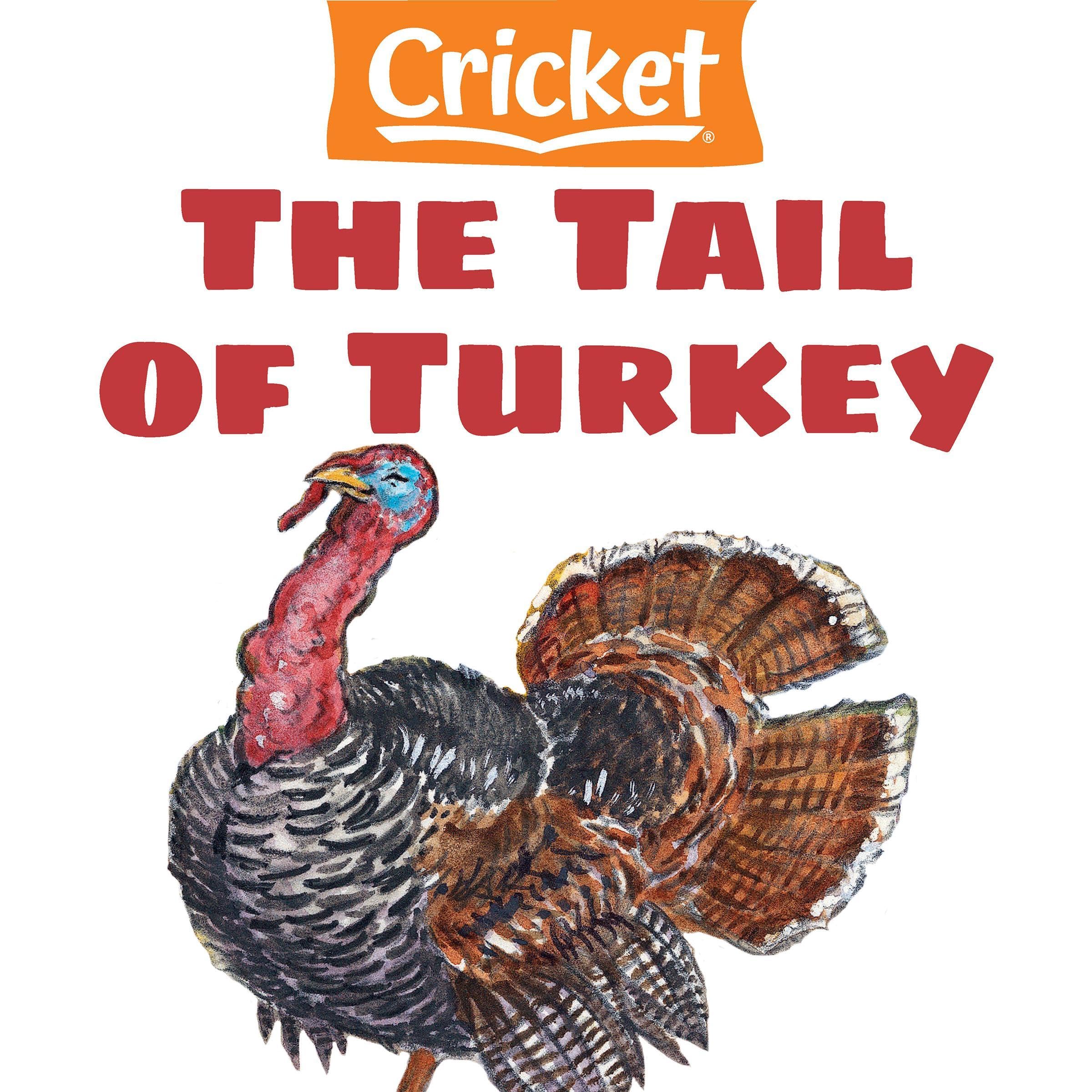 The Tail of Turkey
