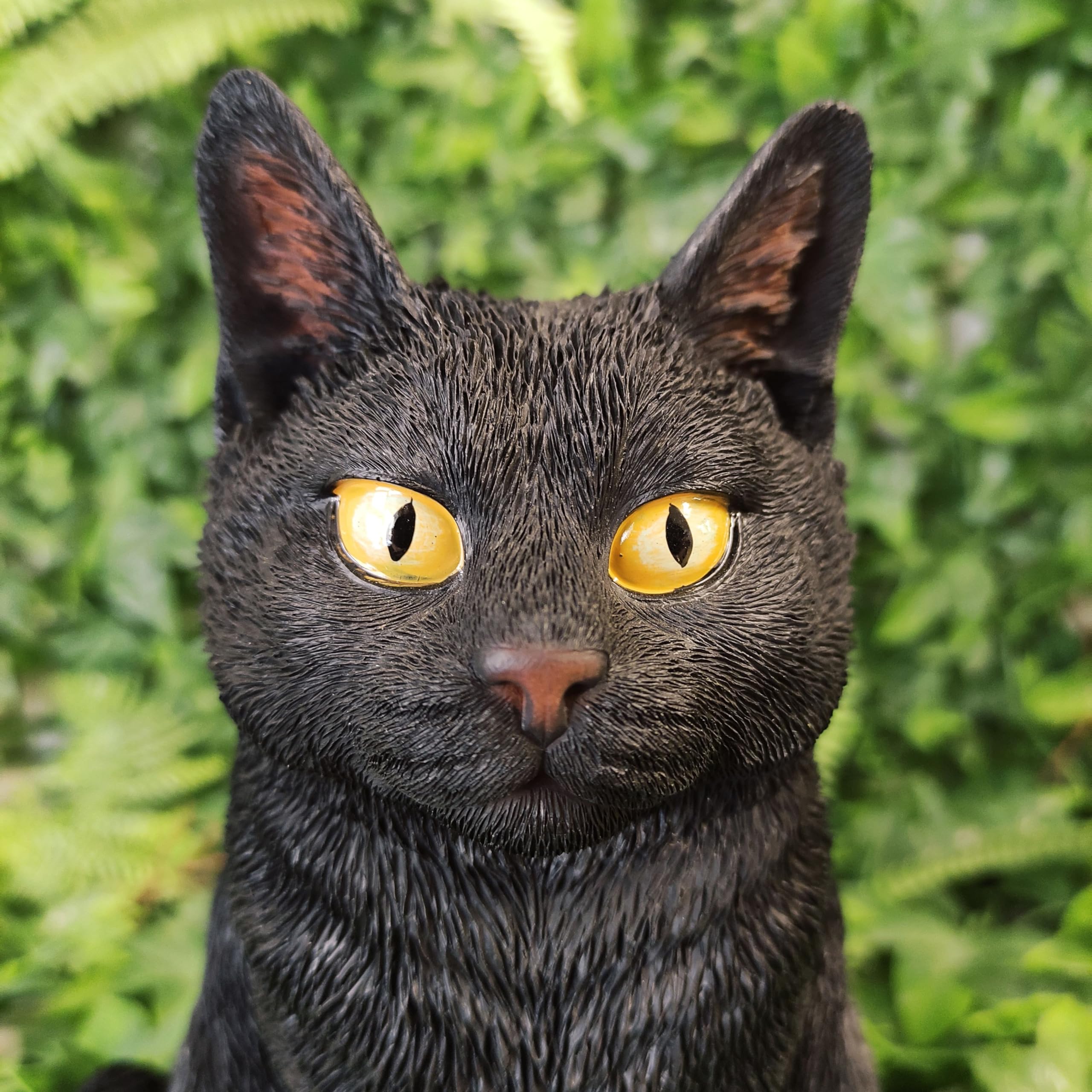 Vivid Arts - Gatti seduti (gatto nero)