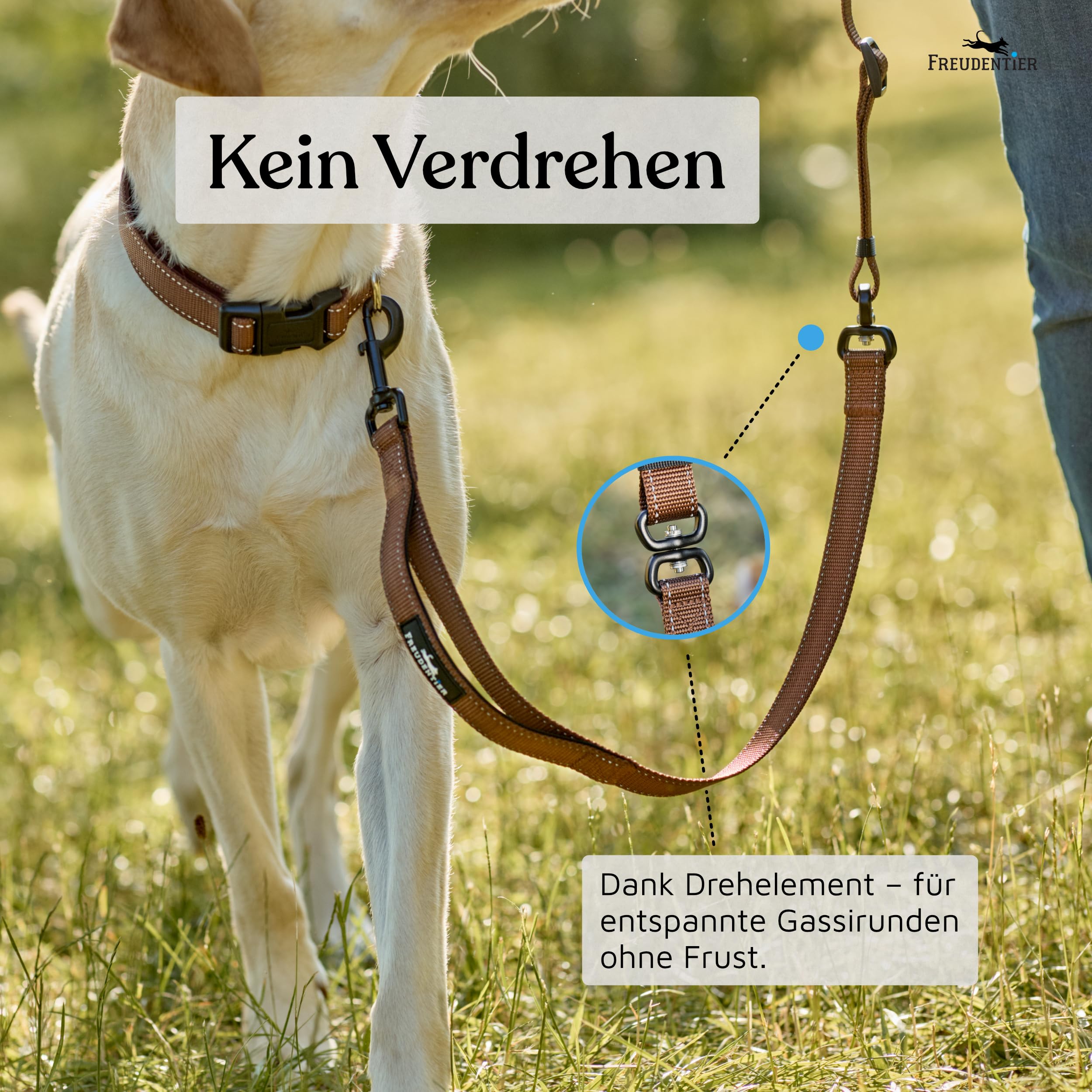 FREUDENTIER Umhängeleine Hund - Hundeleine 2,5m zum Umhängen, stufenlos verstellbar - Leine für kleine, mittelgroße & große Hunde (Braun, 2,5m)