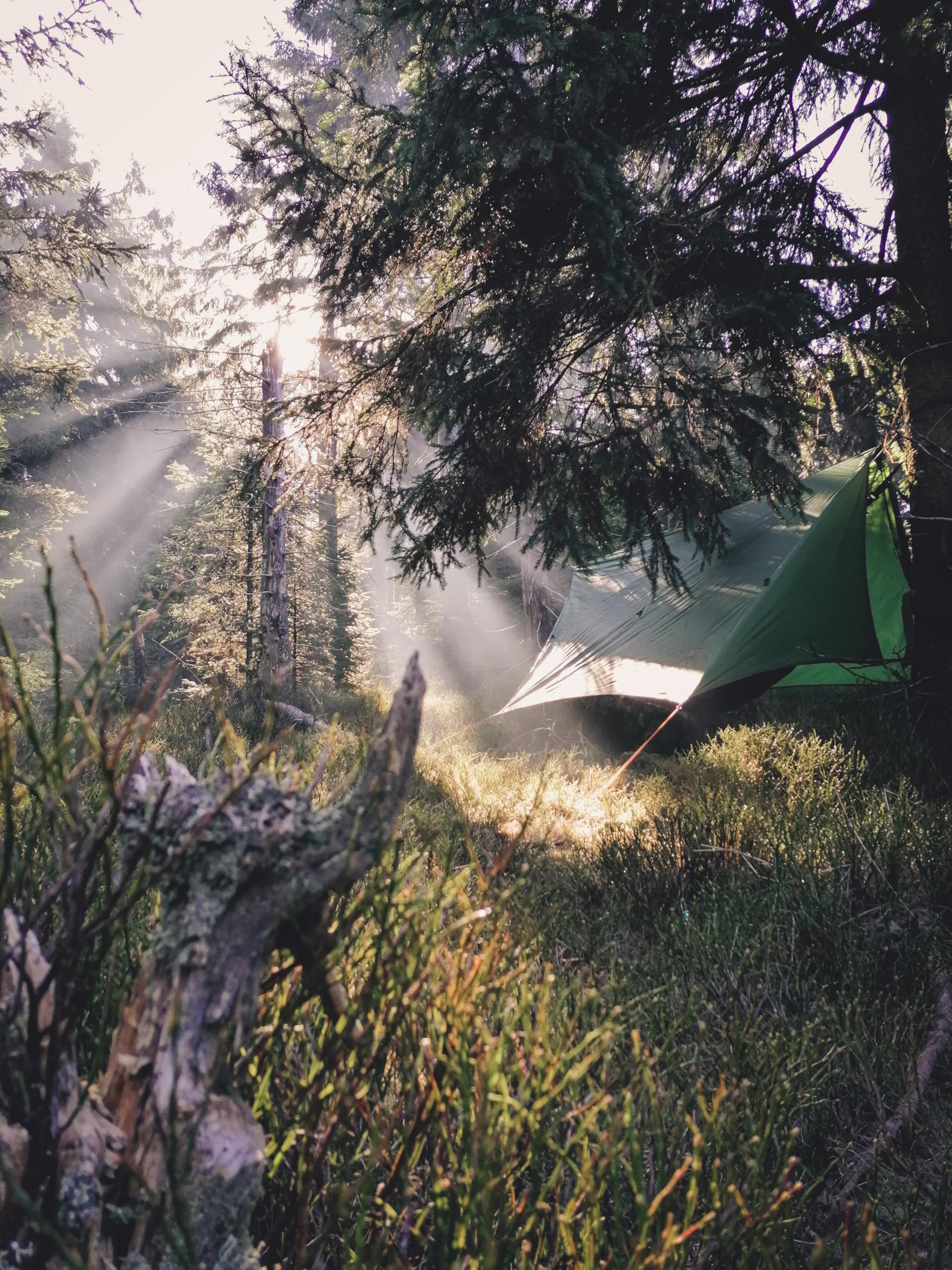 AMAZONAS Wing Tarp – Ultraleichtes Hängematten-Tarp mit variablem Rundum-Windschutz | 950 g | Ideal für Outdoor-Camping