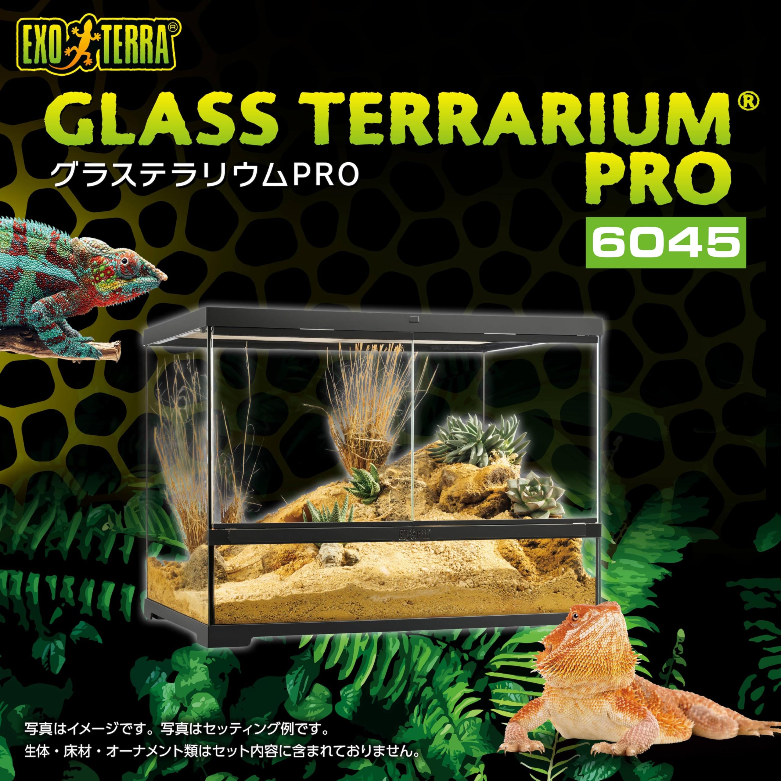 EXOTERRA グラステラリウム 6045爬虫類ケージ     取引成立 爬虫類ケージ GEX エキゾテラ グラステラリウム 6045 爬虫類 フトアゴ