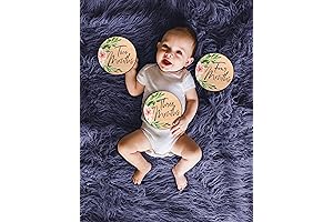 Zwipes Wooden Milestone Discs- Set of 12 Newborn Photography Prop