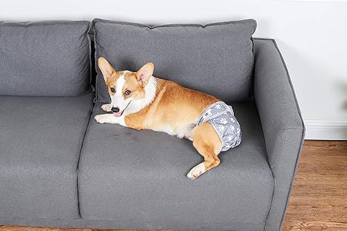 Miniatura 9 de Hi Sprout Pañal para perro hembra, reutilizable, lavable, duradero, absorbente, pañales, pantalones para perritas, flores retro, talla XS