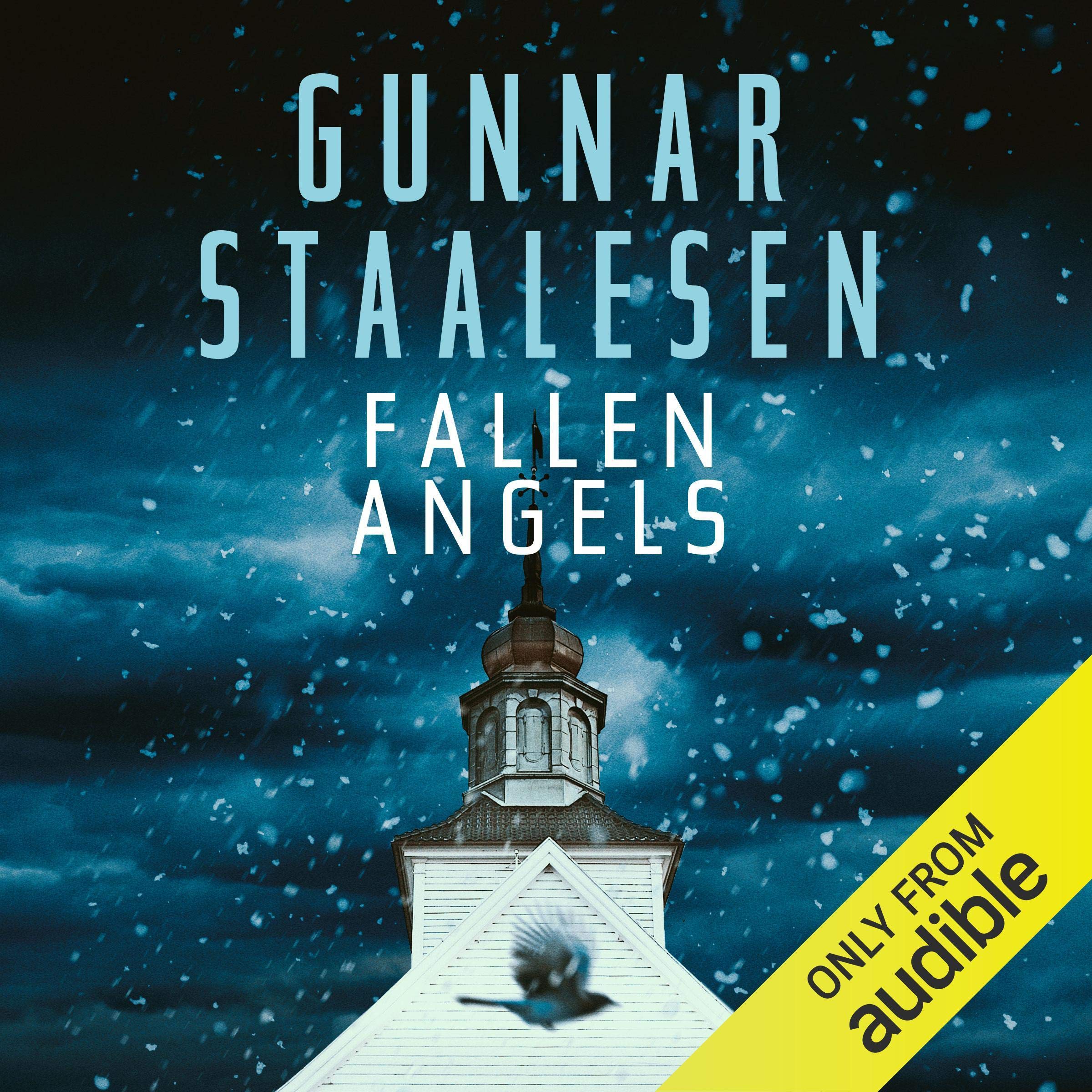 Cover art for Fallen Angels